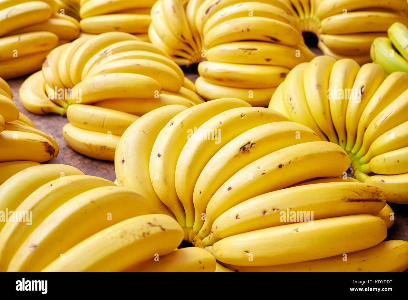 Naturale organico maturo banana grappoli su un mercato locale, il fuoco selettivo. Foto Stock