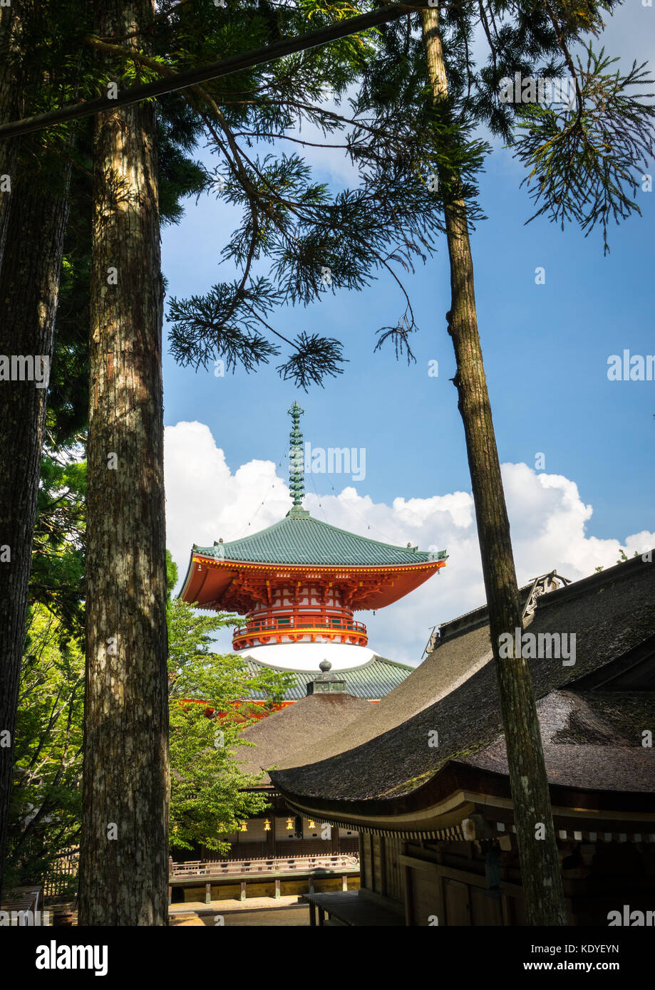 Daito Grande Pagoda tra alberi di cedro a Danjo Garan nel Tempio Kongobuji, Koya-san, prefettura di Wakayama, Giappone Foto Stock