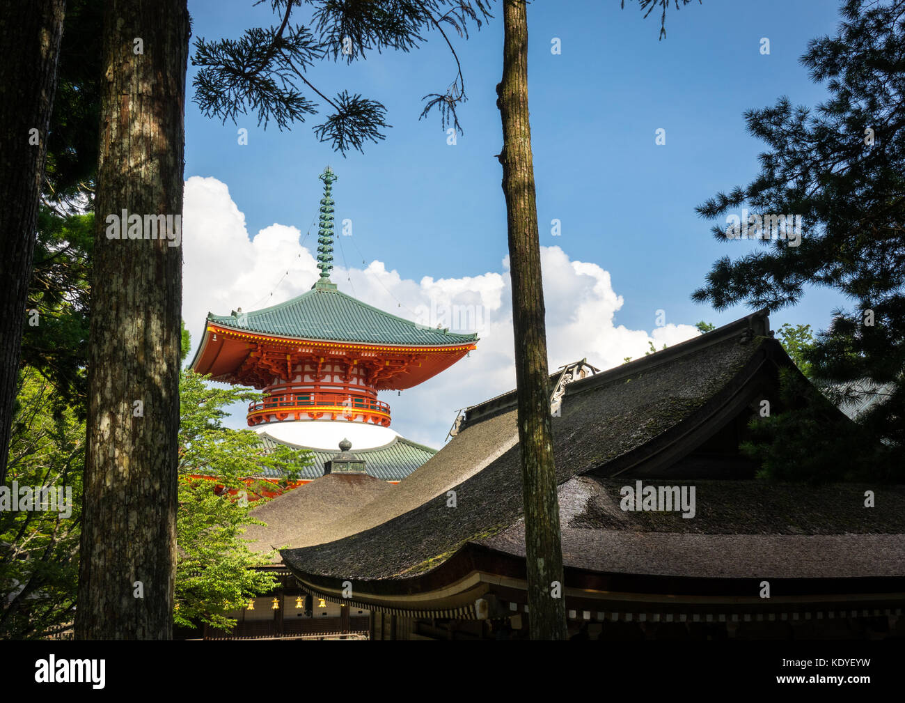 Daito Grande Pagoda tra alberi di cedro a Danjo Garan nel Tempio Kongobuji, Koya-san, prefettura di Wakayama, Giappone Foto Stock