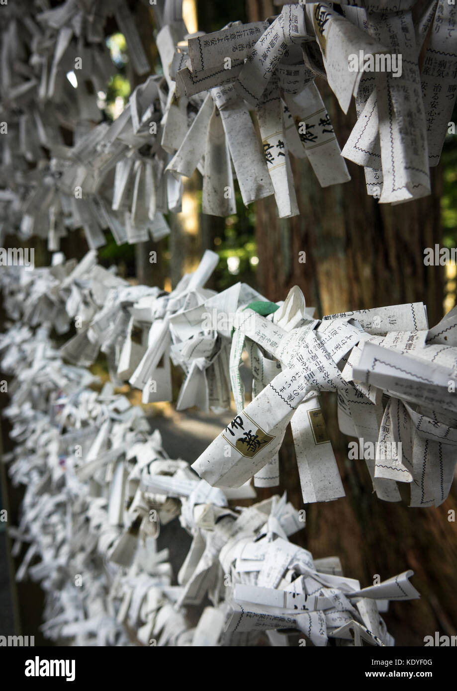 Omikuji papers in cui adoratori scrivere preghiere o desideri legati al tempio Kongobuji, Koya-san, prefettura di Wakayama, Giappone Foto Stock