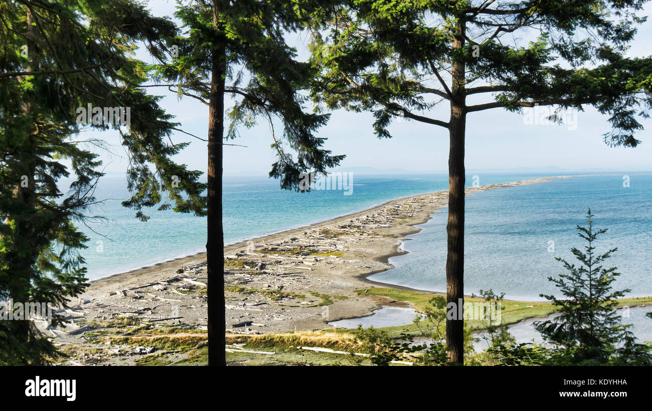 Dungeness spit, dungeness National Wildlife Refuge e dungeness Recreation Area, una contea di clallam parco vicino sequim nello stato di Washington. dungeness s Foto Stock