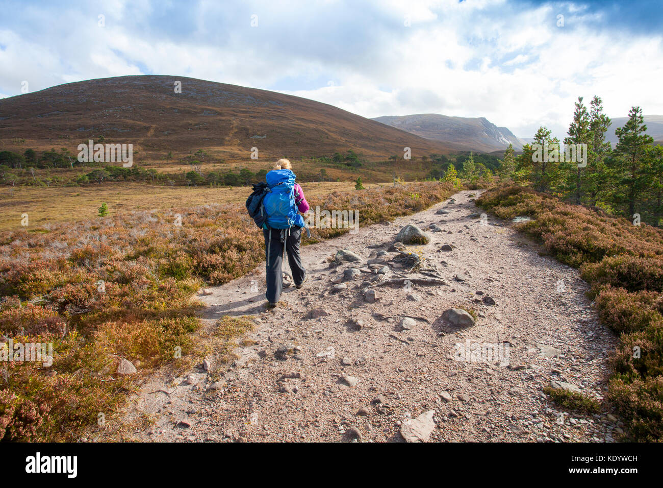 Una montagna di Walker sul sentiero lungo il Lairig Ghru mountain pass che passa attraverso la foresta di Rothiemurchus e station wagon, Cairngorms, Scotland, Regno Unito Foto Stock