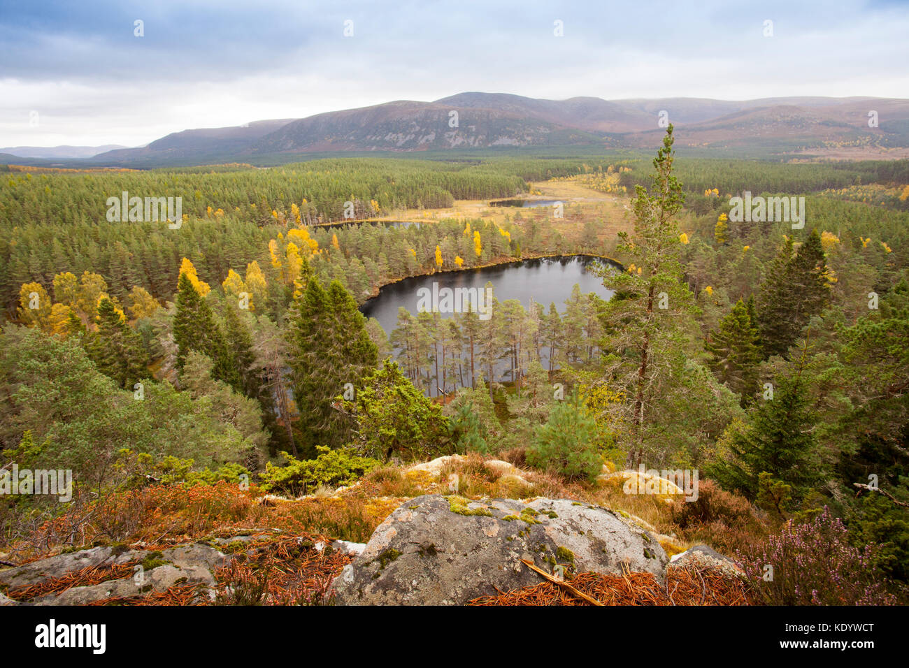 Vista dalla rupe farleitter oltre il bellissimo paesaggio cairngorm e uath lochan o uath lochans con glen feshie a metà distanza, SCOZIA Foto Stock
