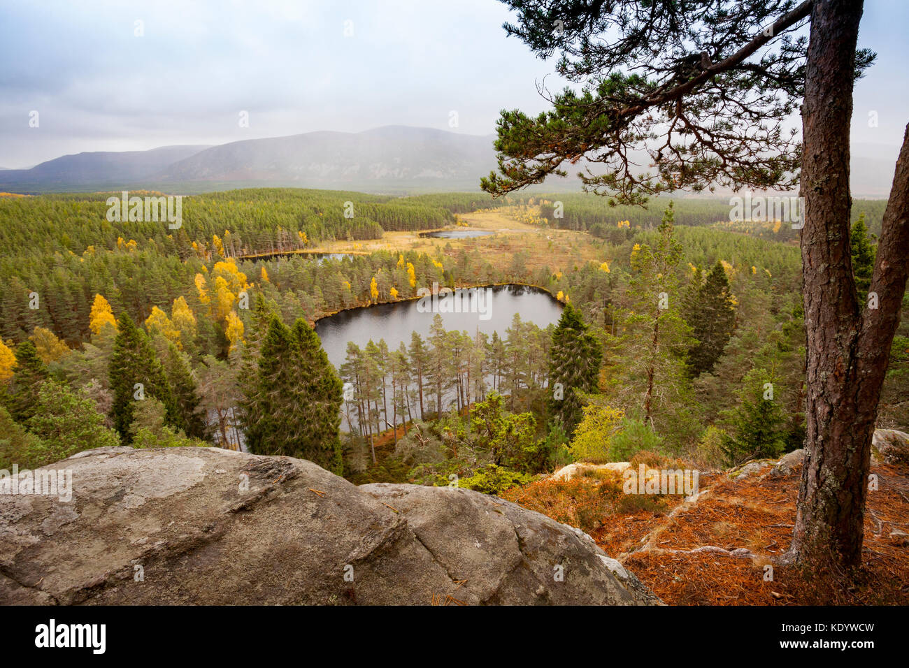 Vista dalla rupe farleitter oltre il bellissimo paesaggio cairngorm e uath lochan o uath lochans con glen feshie a metà distanza, SCOZIA Foto Stock