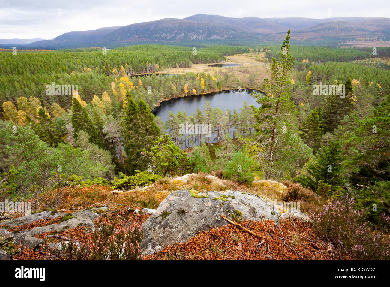 Vista dalla rupe farleitter oltre il bellissimo paesaggio cairngorm e uath lochan o uath lochans con glen feshie a metà distanza, SCOZIA Foto Stock