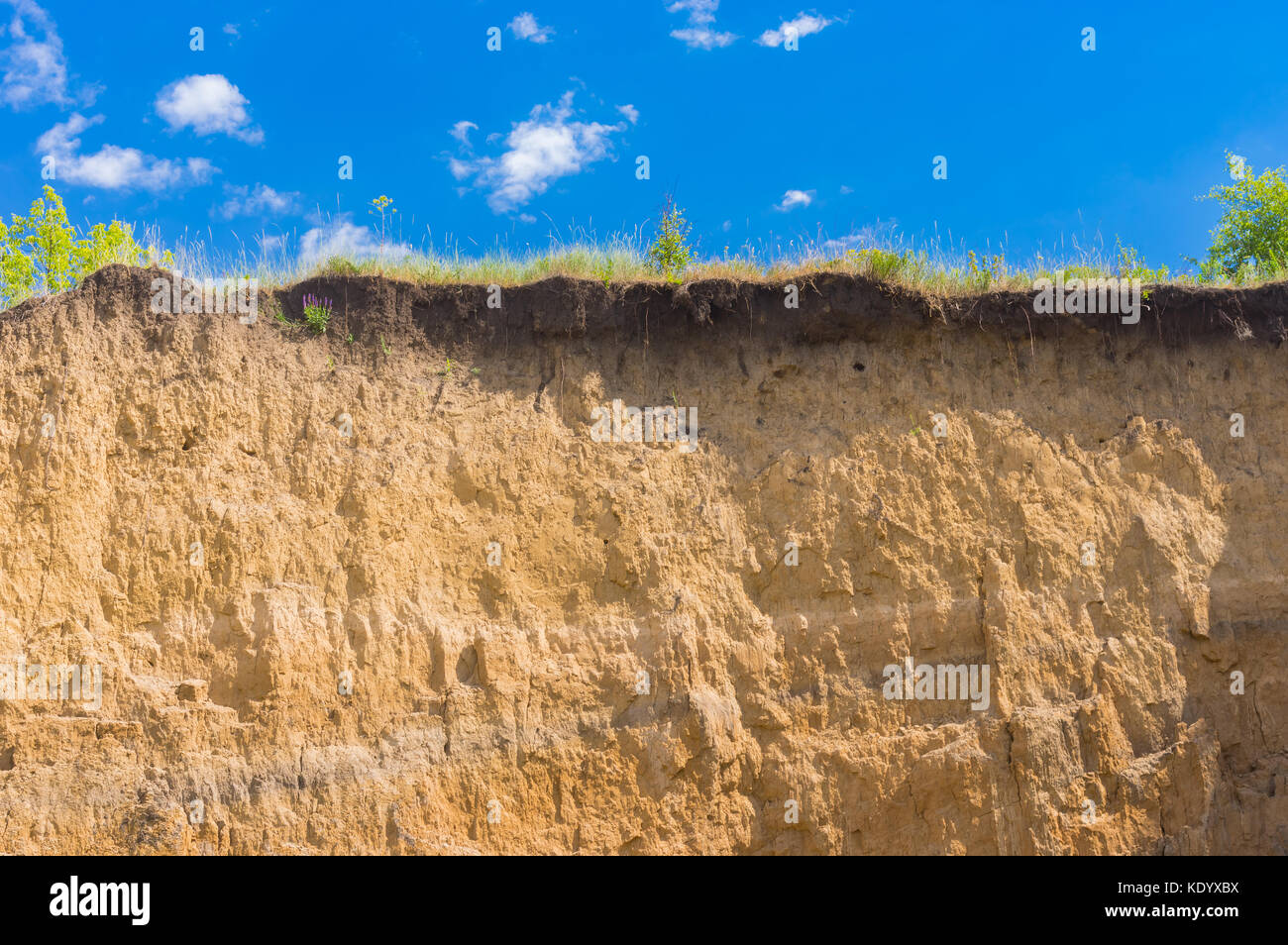 Parete di terra nella sezione in un aperto fossa di argilla in Ucraina centrale Foto Stock