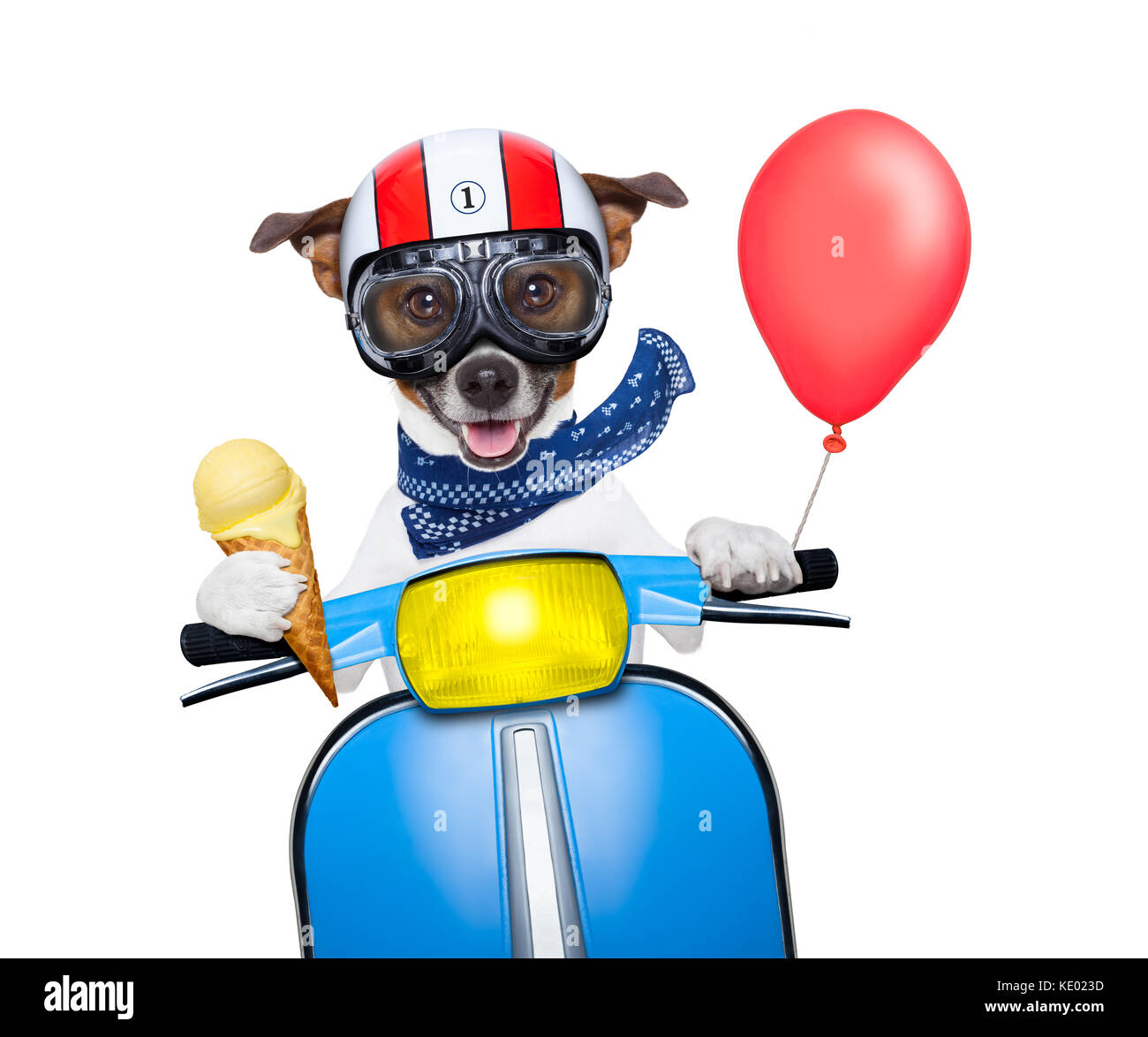 Crazy sciocco cane in moto con il casco e occhiali , tenendo una cialda di  gelato alla vaniglia il cono isolato su sfondo bianco Foto stock - Alamy