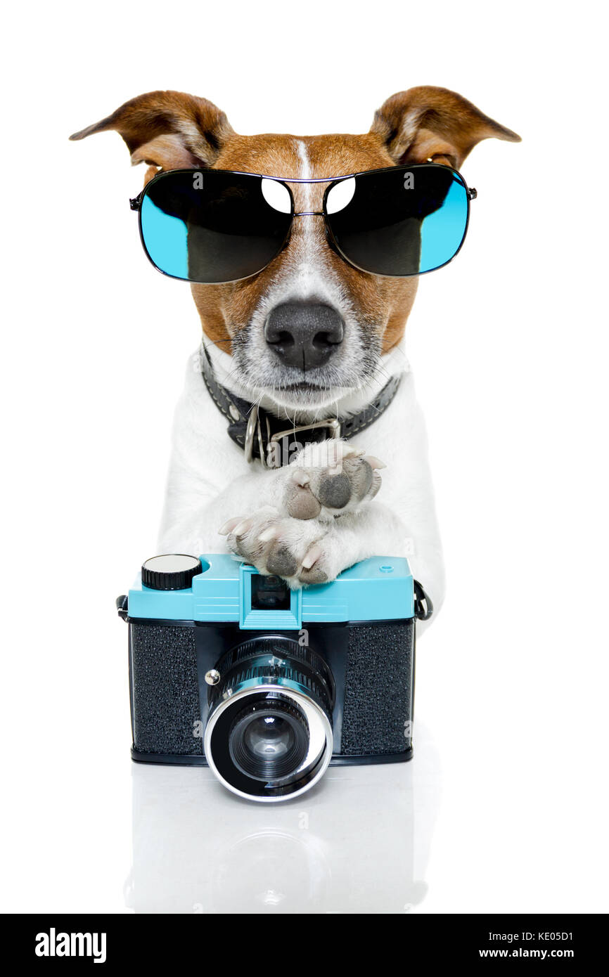 Cane di scattare foto con una fantasia fotocamera foto Foto Stock