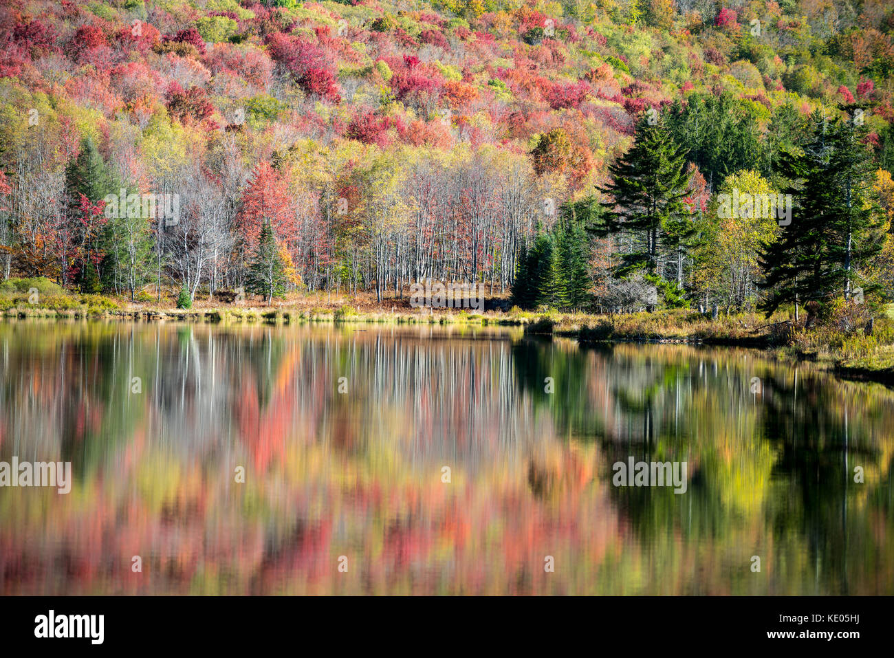Colori d'autunno fogliame di un versante boscoso si riflette sulla superficie liscia di un lago di montagna nella valle di Canaan, West Virginia, USA Foto Stock