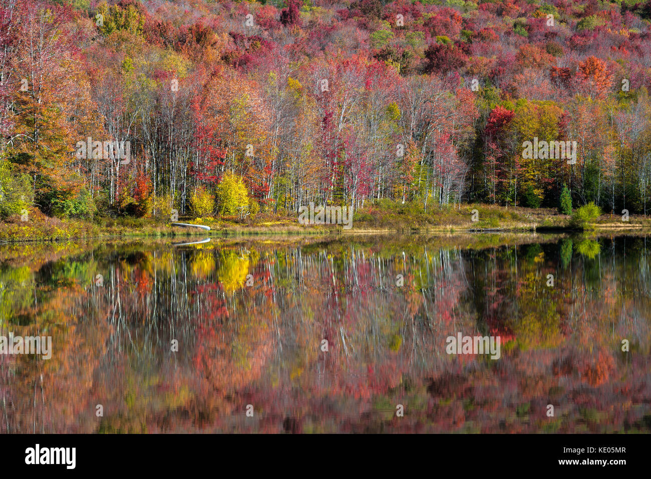 Colorato fogliame di autunno si riflette sulla superficie liscia di un lago di montagna nella valle di Canaan, West Virginia, USA Foto Stock
