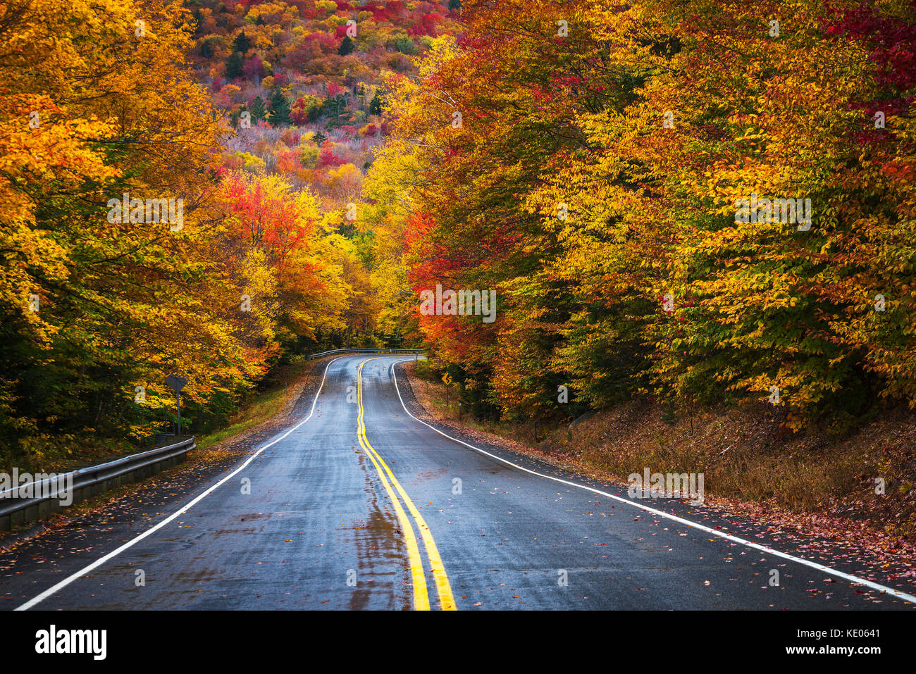 Una strada a due corsie, inghiottito dai colori d'autunno fogliame, curve e scompare nella foresta di White Mountains del New Hampshire del New England, Stati Uniti d'America. Foto Stock