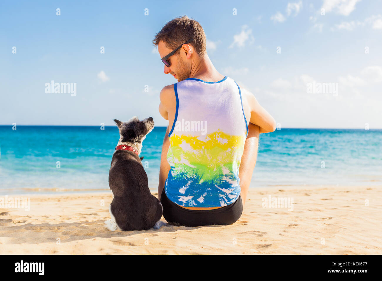 Cane e proprietario seduti insieme vicino alla spiaggia su Vacanze estive Vacanze Foto Stock