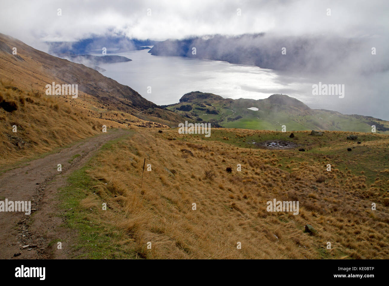 Il sentiero sul picco roys sopra il lago Wanaka Foto Stock