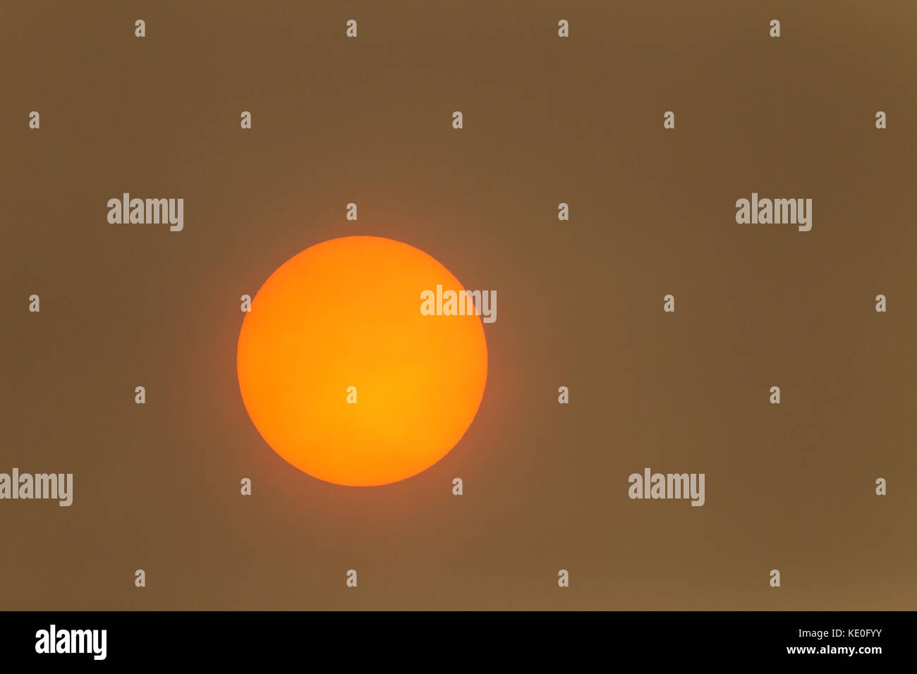 Northamptonshire, Regno Unito. Xvi oct, 2017. Regno Unito meteo. Uragano Ofelia colpisce le nostre rive portando la polvere dal deserto del Sahara, riempì i cieli di Northamptonshire questo pomeriggio (16 ottobre 2017) in parte bloccando il credito di Sun: Keith J Smith./Alamy Live News Foto Stock