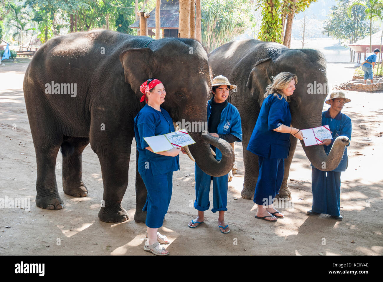 I volontari stranieri di ricevere i loro certificati all'Elephant Conservation Centre a Lampung, vicino a Chiang Mai, Thailandia del Nord Foto Stock
