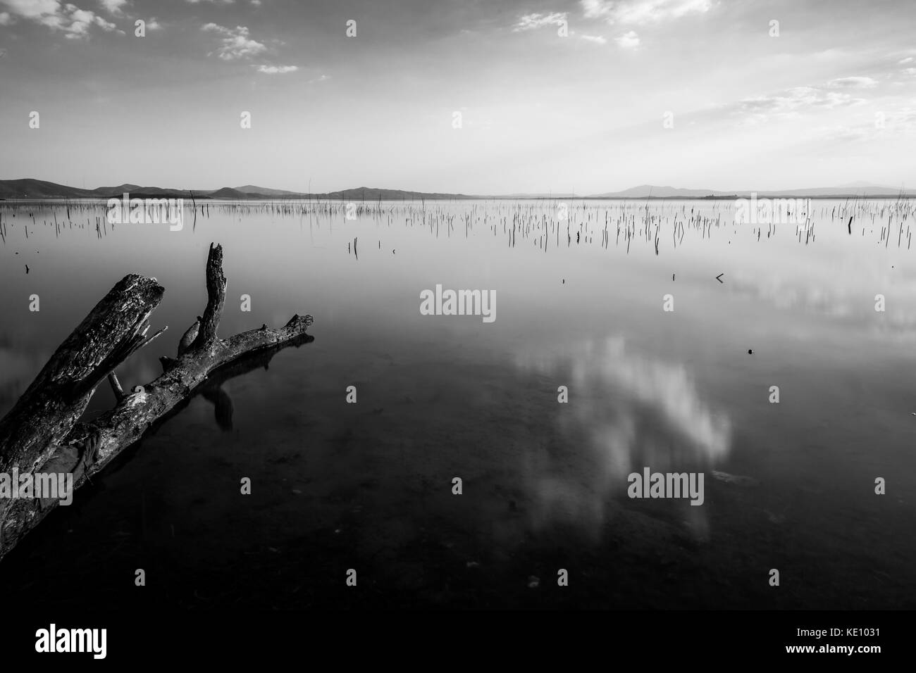Perfetto Cielo e nubi riflessioni su un lago, con un tronco di albero in primo piano Foto Stock