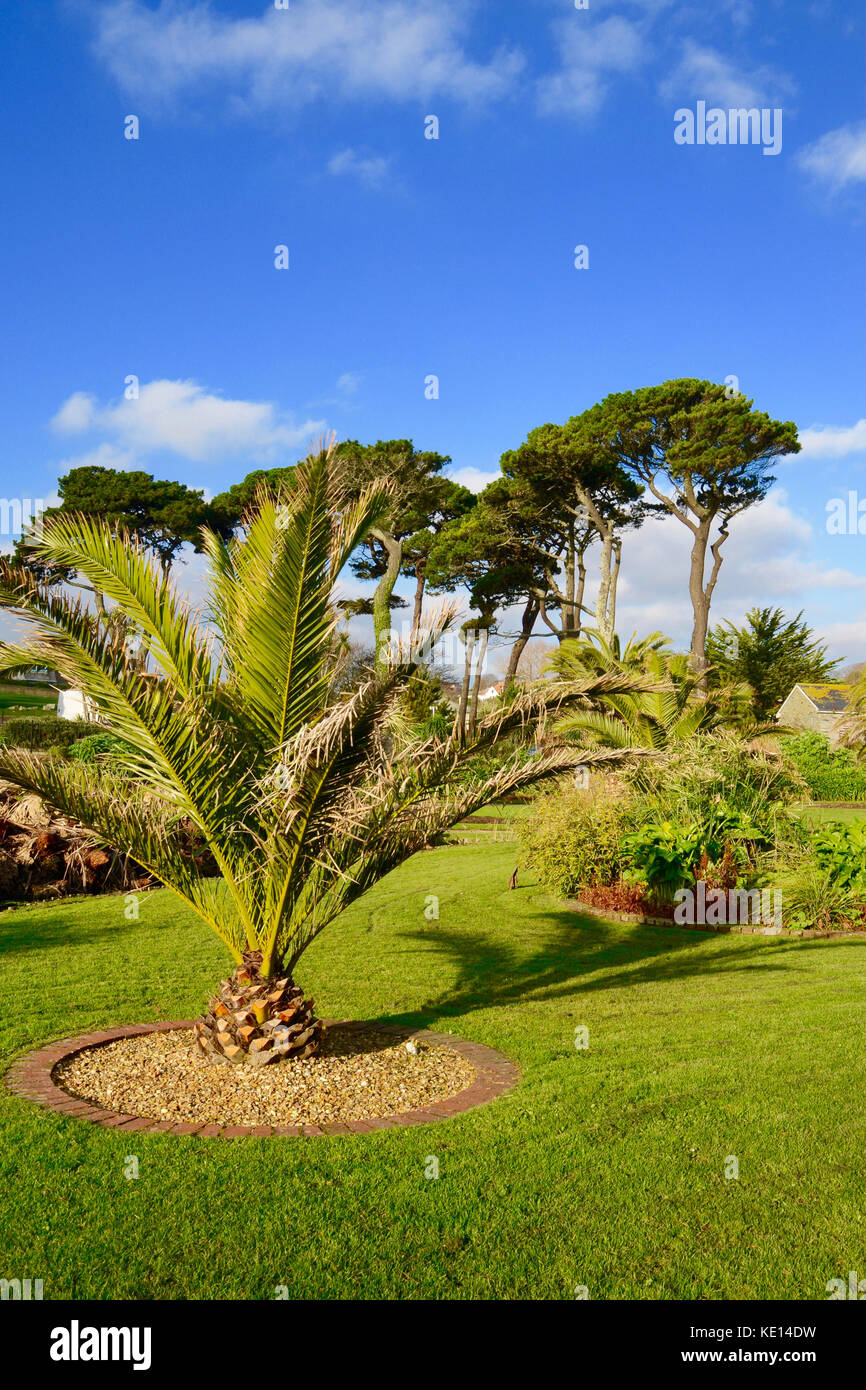 Queen Mary giardini, Falmouth, Cornwall, Regno Unito Foto Stock