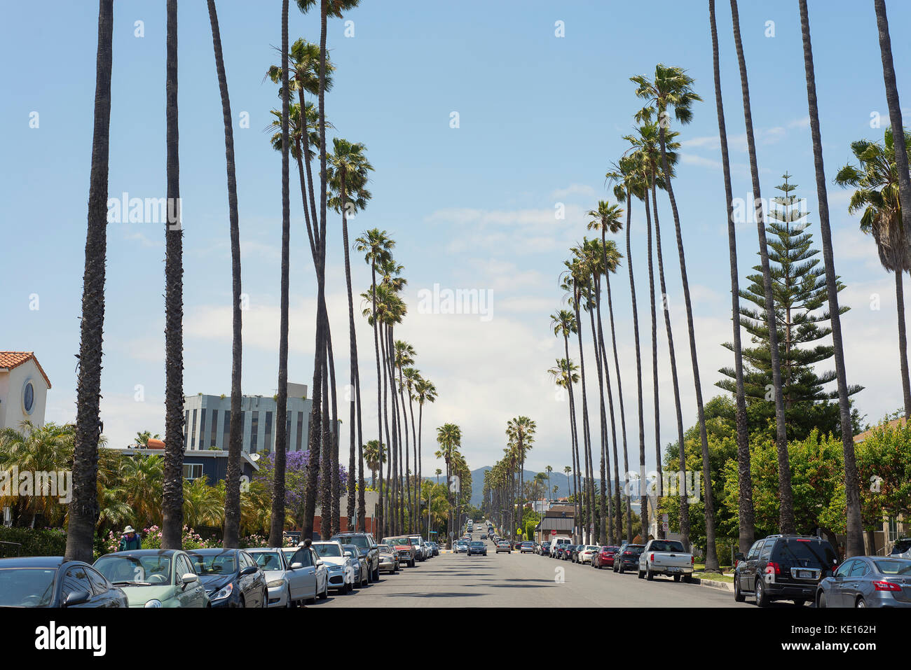 Le palme che costeggiano la strada in Santa Monica, Los Angeles, California. Foto Stock