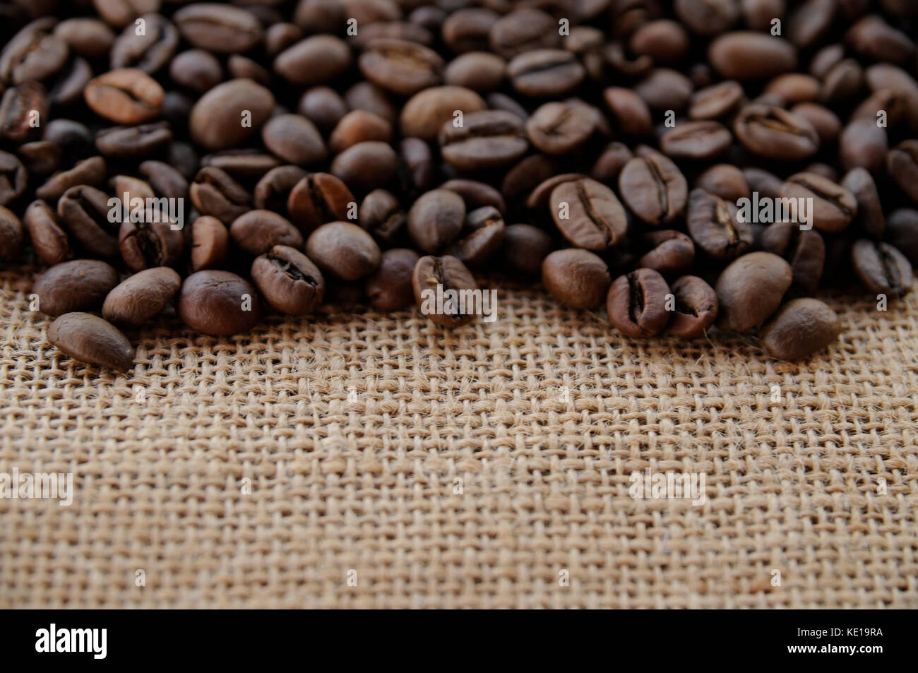 Colture biologiche di caffè sullo spazio di copia di sacco di burlap Foto Stock