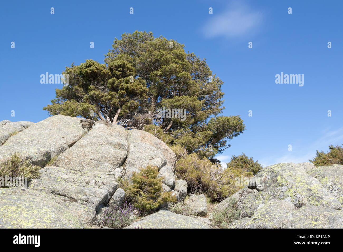 Cabezo del Cervunal, Sierra de Gredos, Spagna Foto Stock