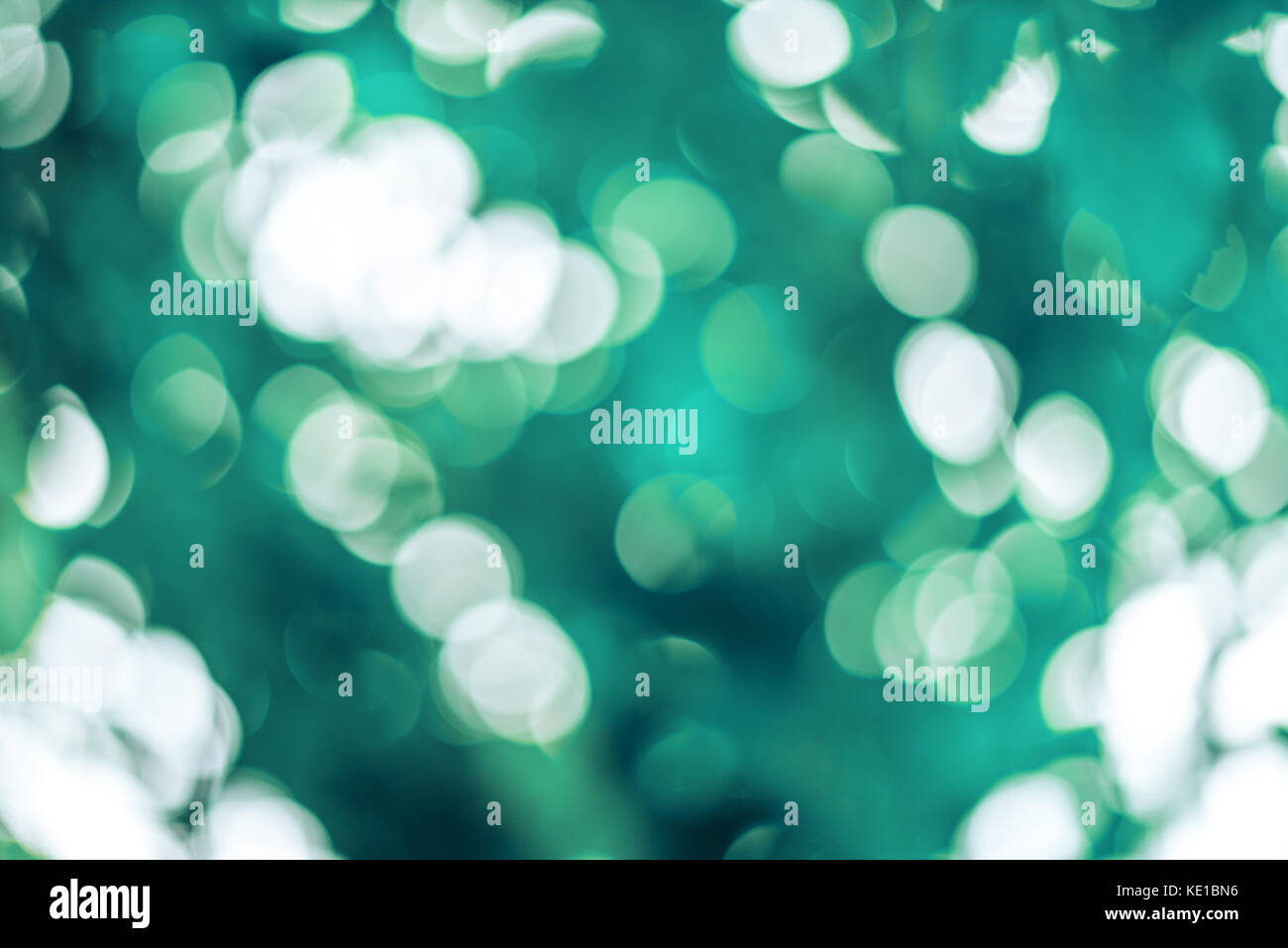 Bella la sfocatura sullo sfondo bokeh di fondo sulla natura. Foto Stock