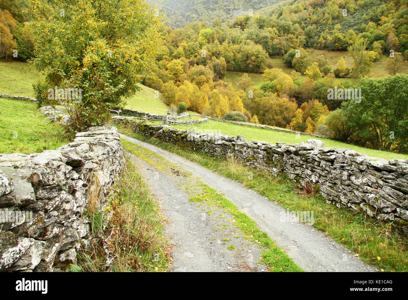Percorso tra i prati in autunno nel nord della Spagna Foto Stock