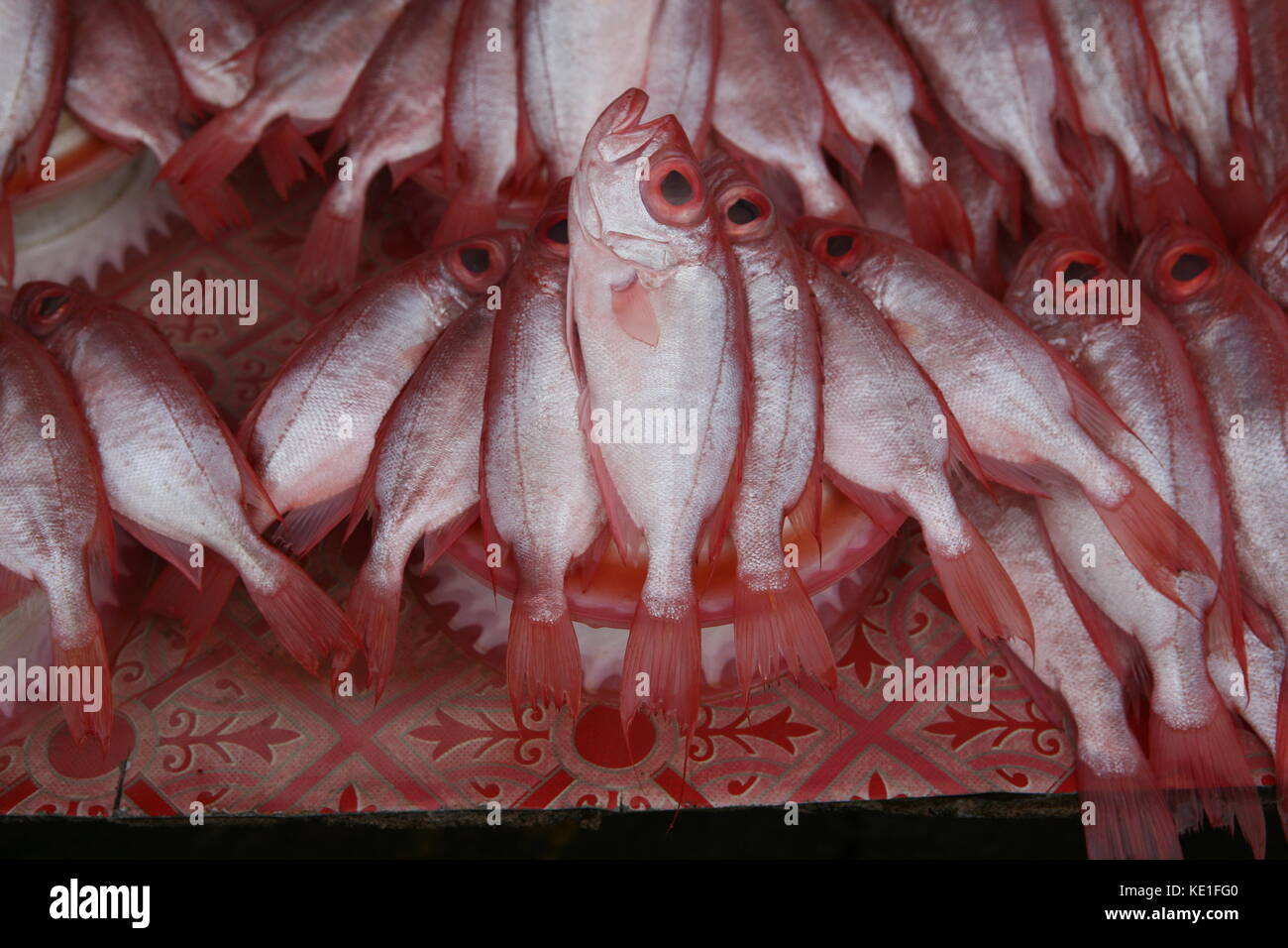 rote Fische zum Verkauf auf einem asiatischen Markt in Borneo - pesce rosso in vendita su un mercato asiatico Foto Stock
