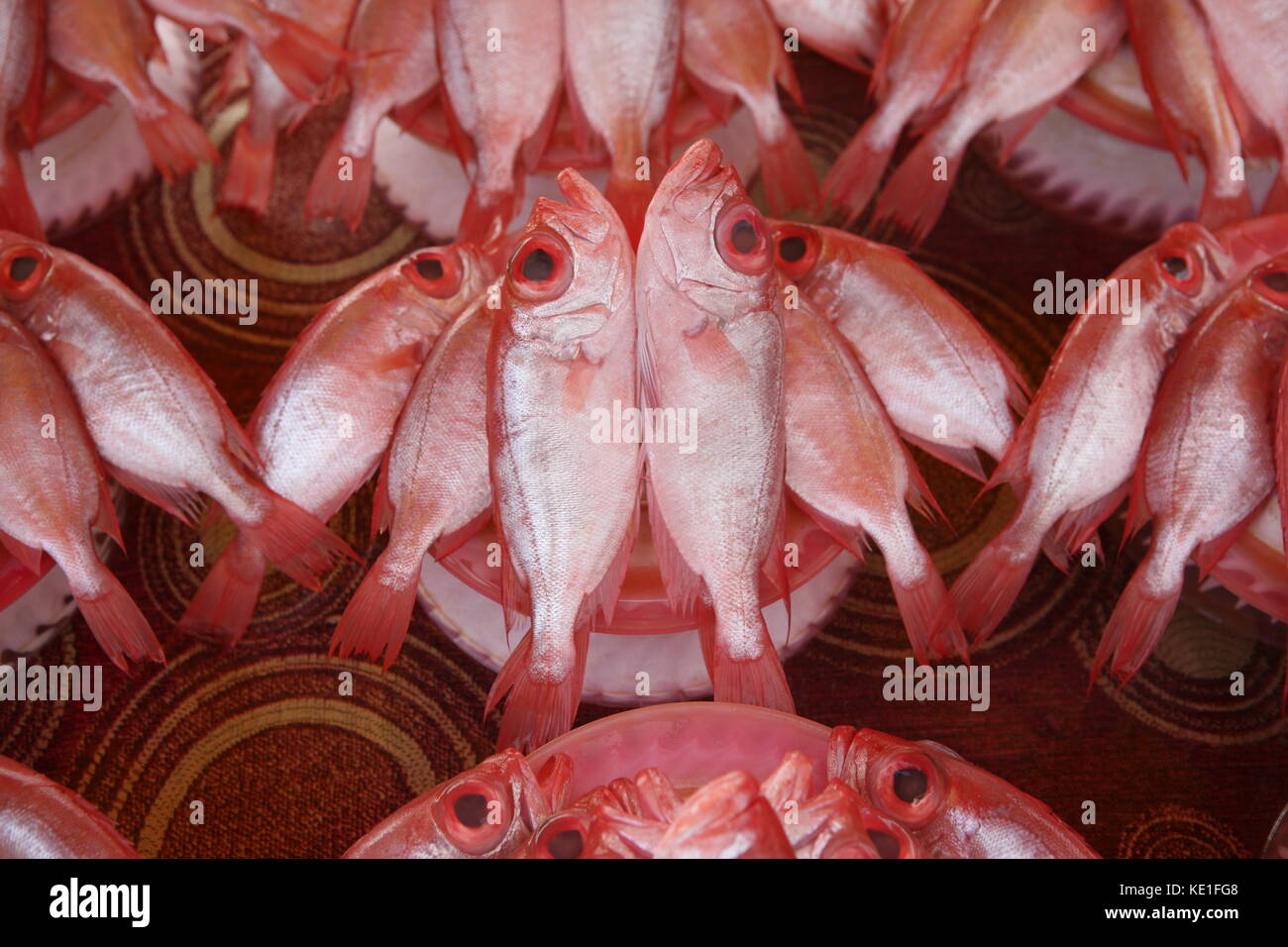 rote Fische zum Verkauf auf einem asiatischen Markt in Borneo - pesce rosso in vendita su un mercato asiatico Foto Stock