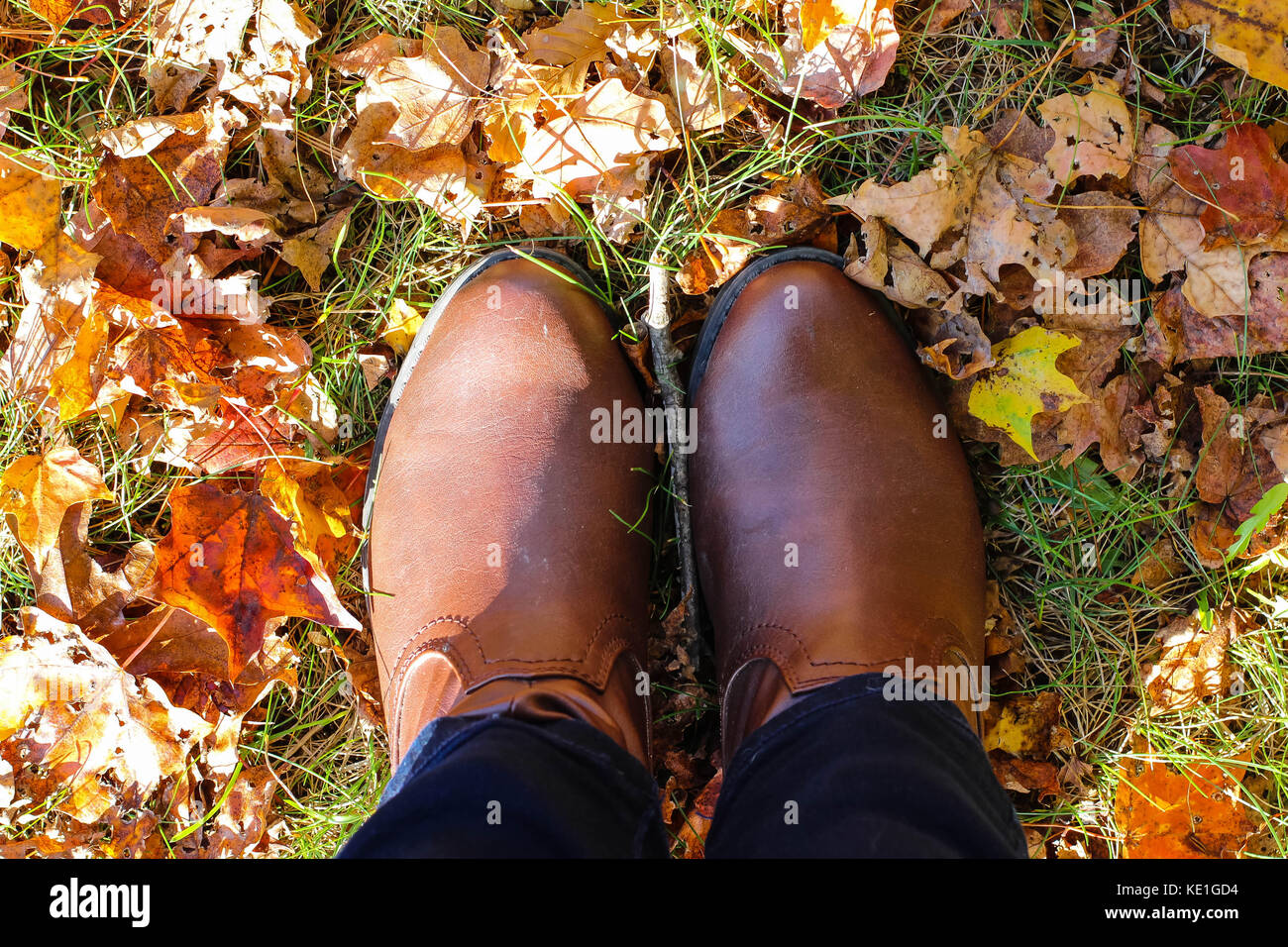 Una persona si erge con scarponi sul prato coperto di foglie e caduta delle foglie in un parco nel mese di ottobre Foto Stock