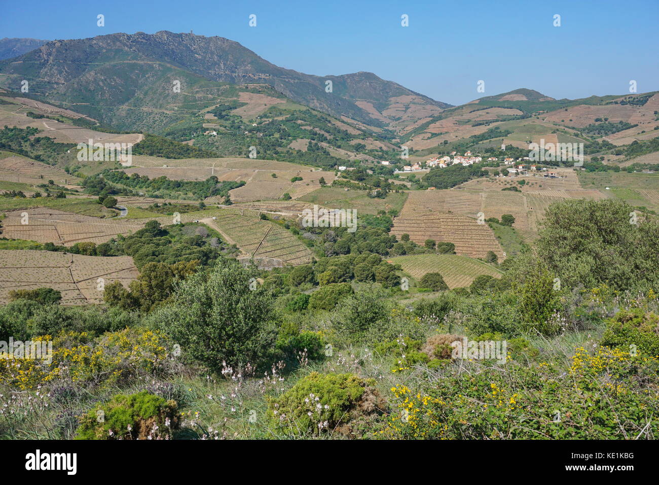 Francia paesaggio mediterraneo con vigneti e campi del villaggio di cosprons al fondo del massiccio del Albera, Rossiglione e Pirenei Orientali Foto Stock