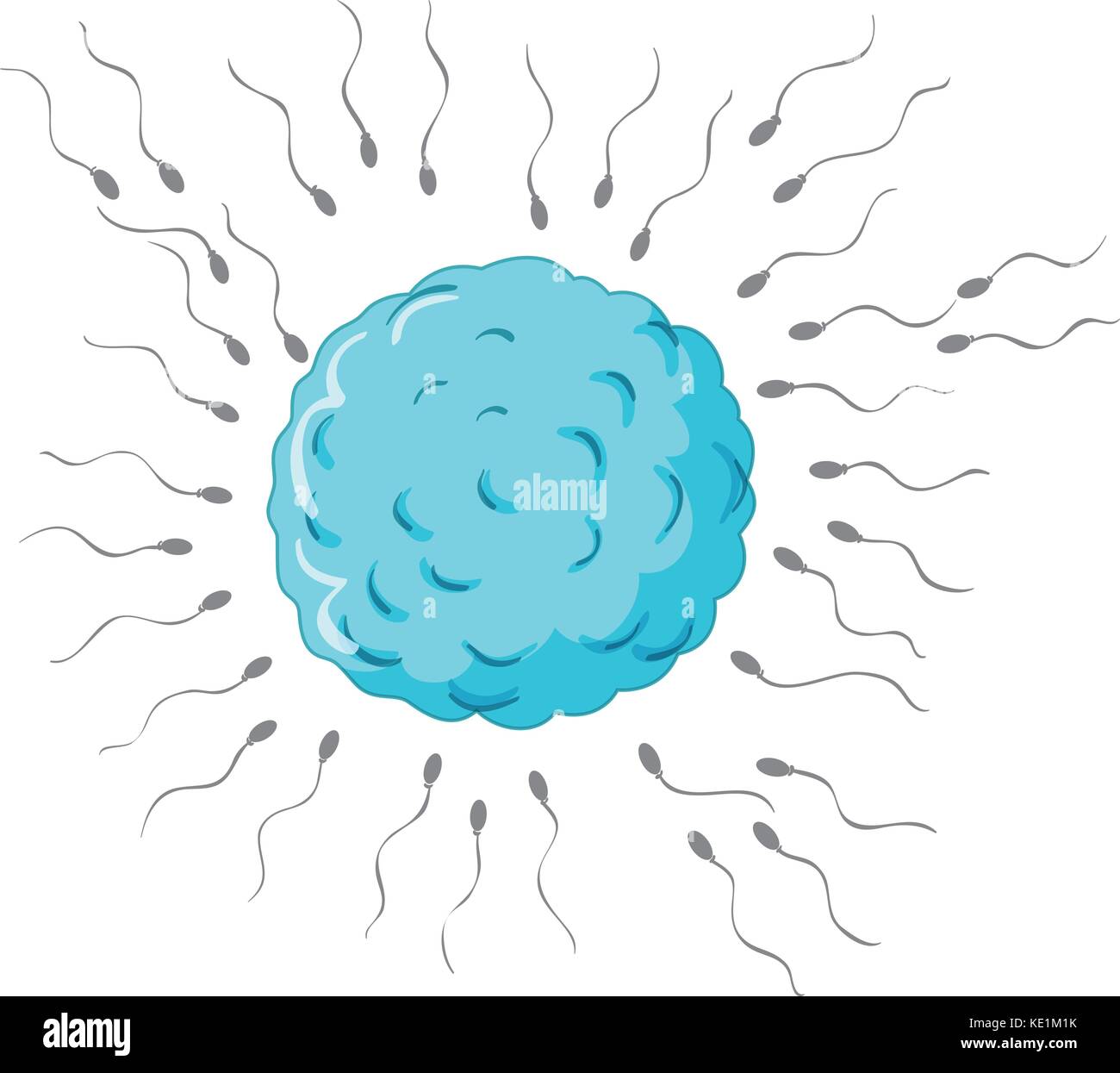 La fertilizzazione con spermi e uova illustrazione Illustrazione Vettoriale