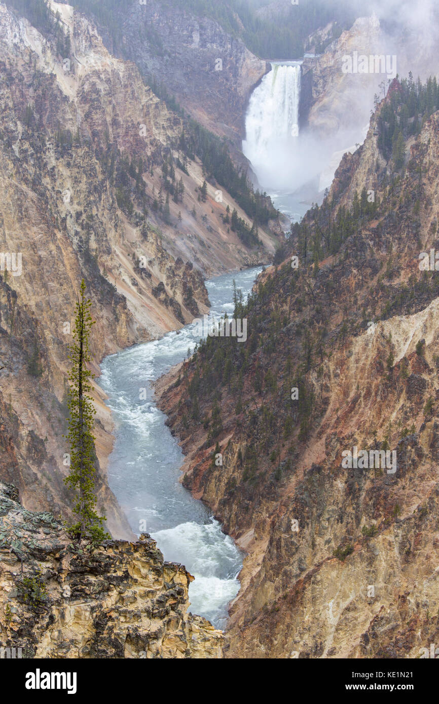 Le cascate inferiori di yellowstone da artisti del punto di un nebbioso giorno Foto Stock