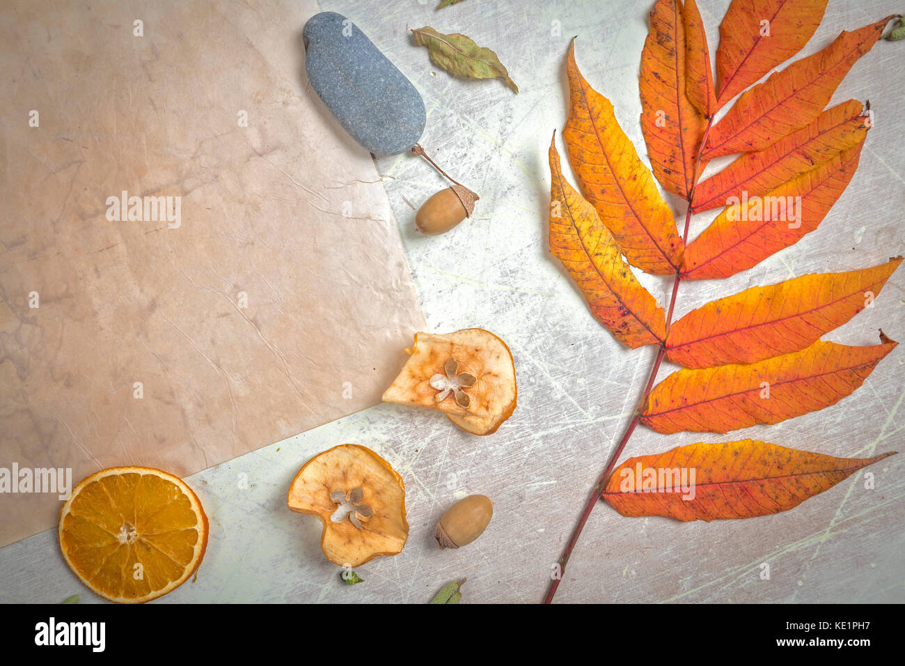 Autmnal piana pergamena laici, frutta secca e fogliame sul brillante background graffiante Foto Stock