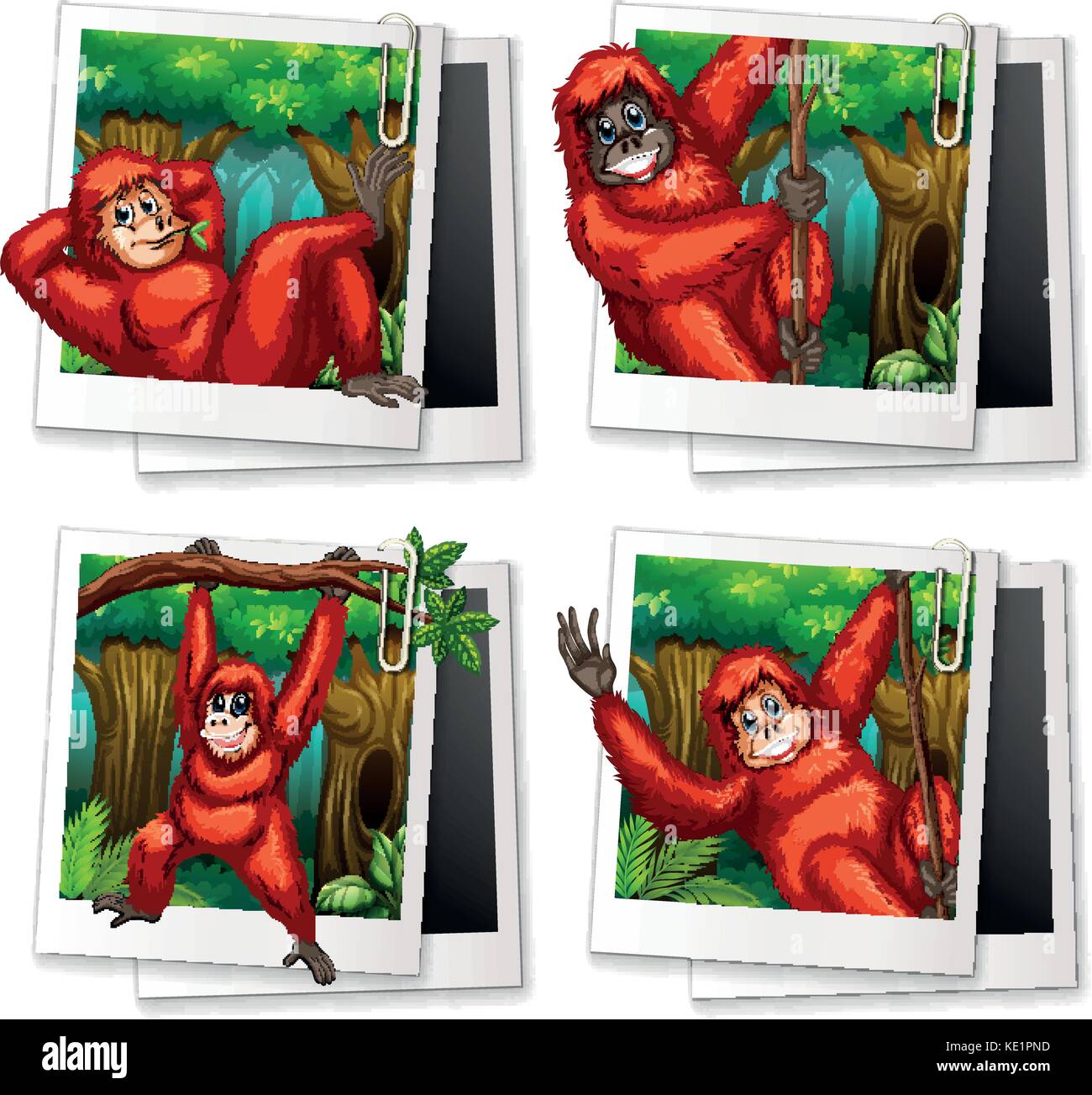 Urangutan nella foresta illustrazione Illustrazione Vettoriale