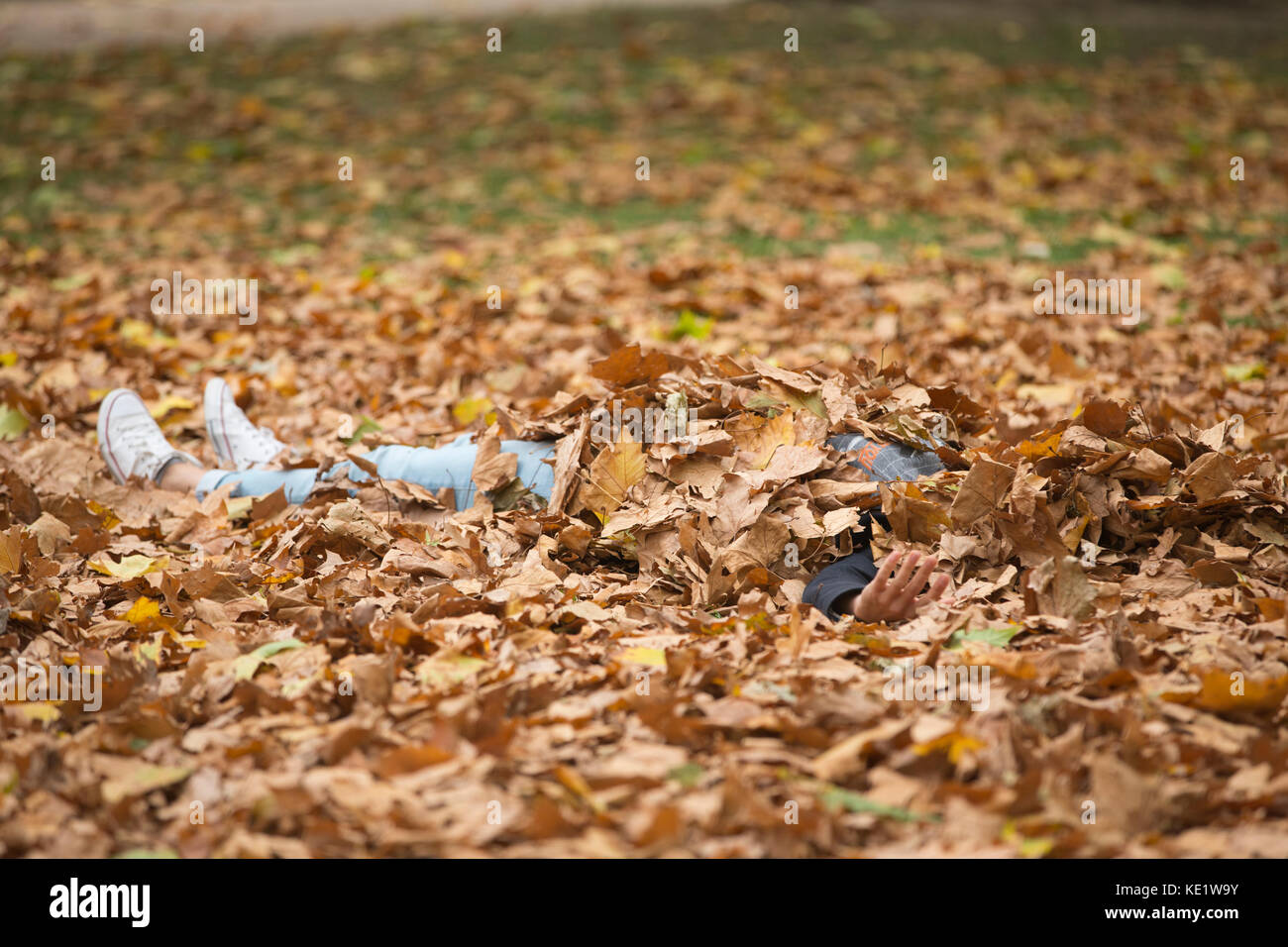 Foglie di autunno, st Jame's Park, Londra, Inghilterra, Regno Unito Foto Stock