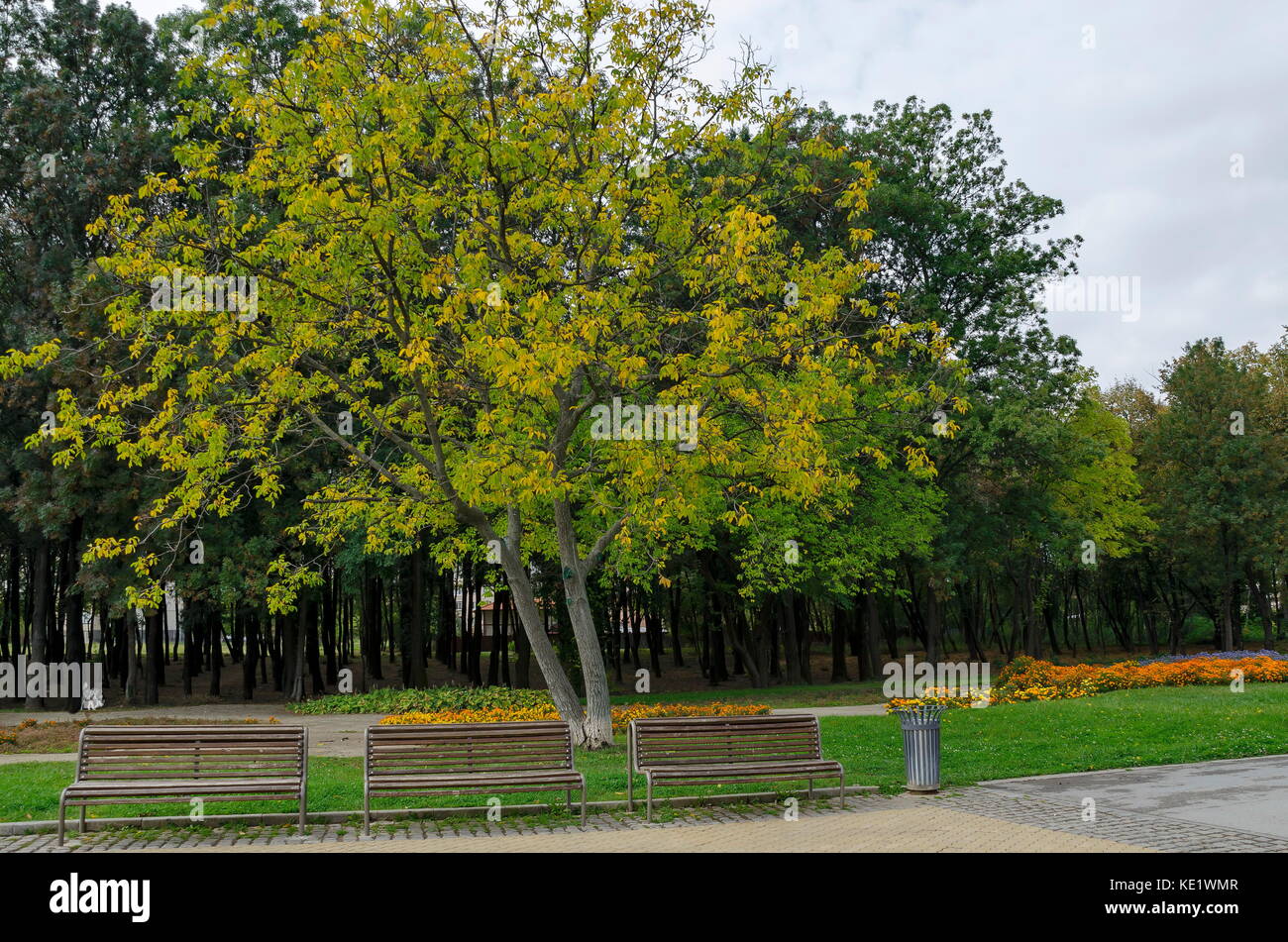 Popolare il parco nord per il resto con autunnale di vecchia foresta panca in legno e giardino fiorito nel quartiere vrabnitsa, sofia, Bulgaria Foto Stock