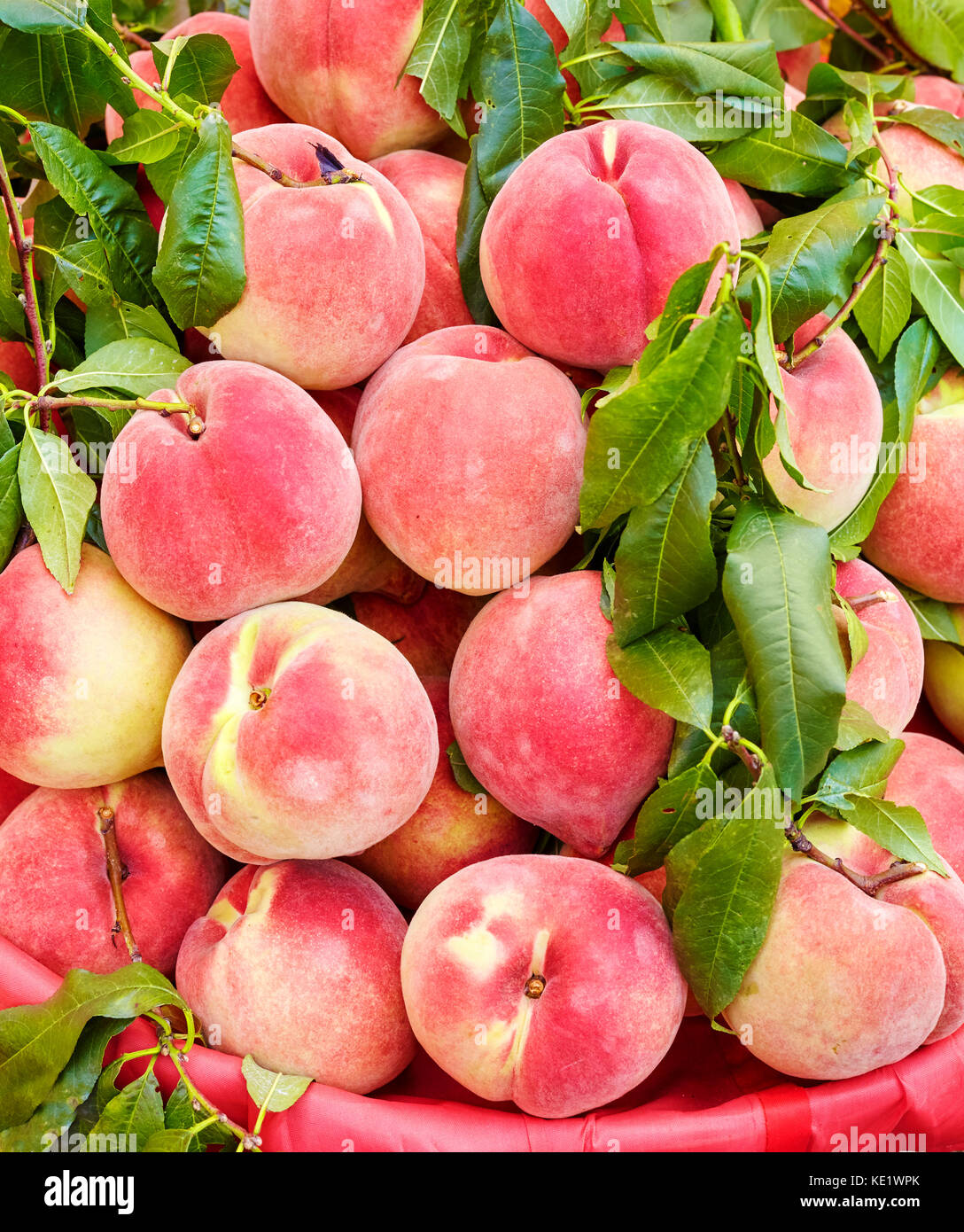 Pesche fresche un mercato locale. Foto Stock