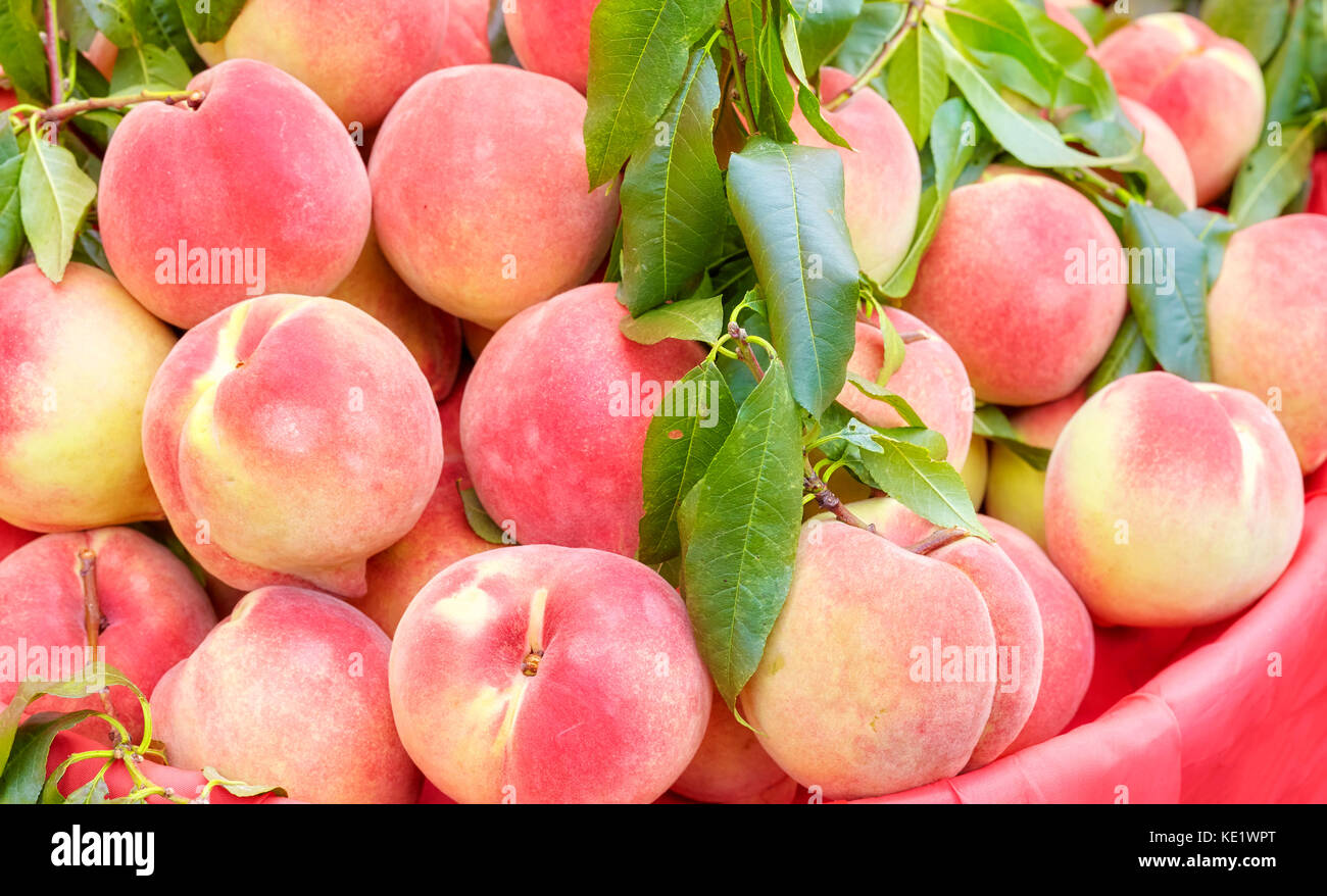 Pesche fresche un mercato locale, il fuoco selettivo. Foto Stock