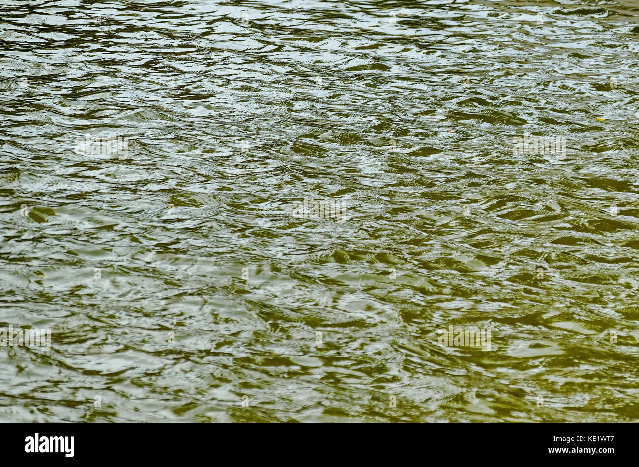 Interessante lo sfondo naturale di acqua con la riflessione sul lago nel famoso Parco Nord, vrabnitsa district, sofia, Bulgaria Foto Stock