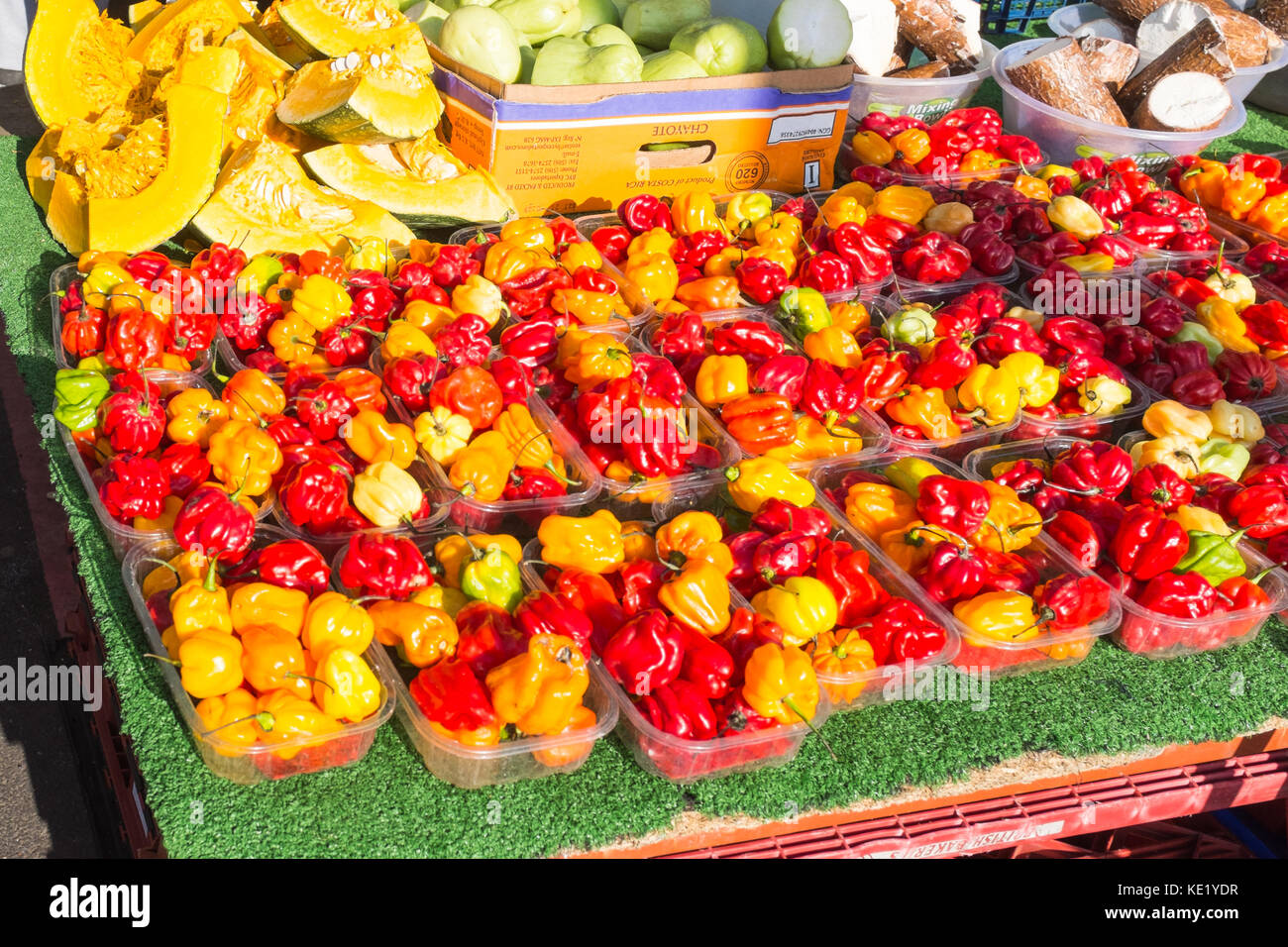 Rosso e giallo habanero e Scotch Bonnet peperoncini rossi per la vendita su un mercato in stallo Foto Stock