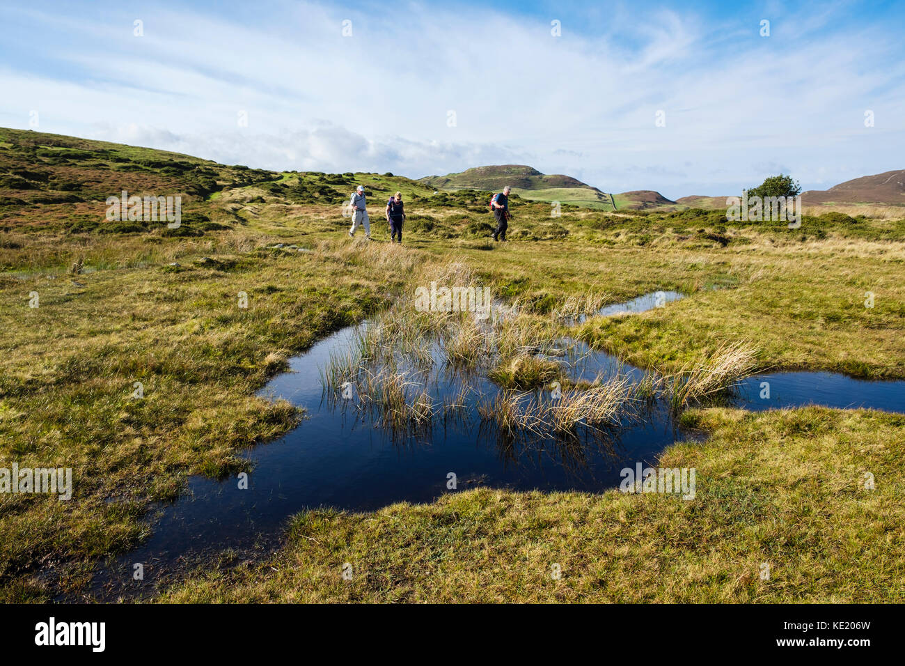 Piscina altopiano nella brughiera con tre escursionisti a piedi nella campagna a nord del Parco Nazionale di Snowdonia. Conwy, il Galles del Nord, Regno Unito, Gran Bretagna Foto Stock