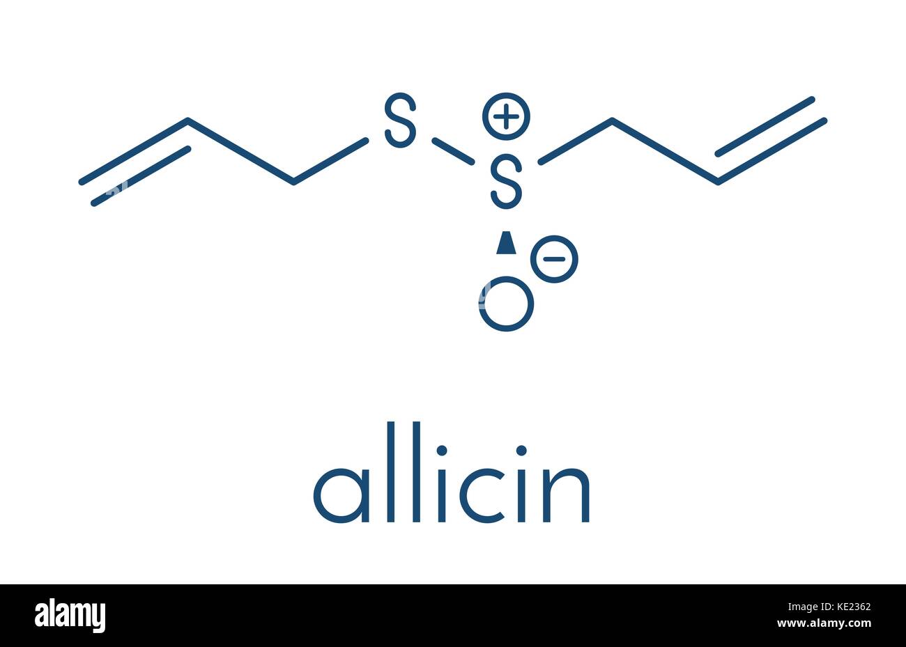 Aglio allicin molecola. formato da alliin dall'enzima alliinase. ritiene di avere un certo numero di effetti positivi sulla salute. formula scheletrico. Illustrazione Vettoriale