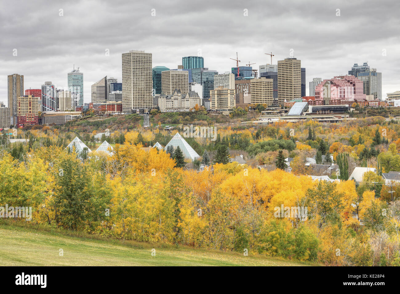 Un paesaggio urbano di Edmonton con colorati aspen in autunno Foto Stock