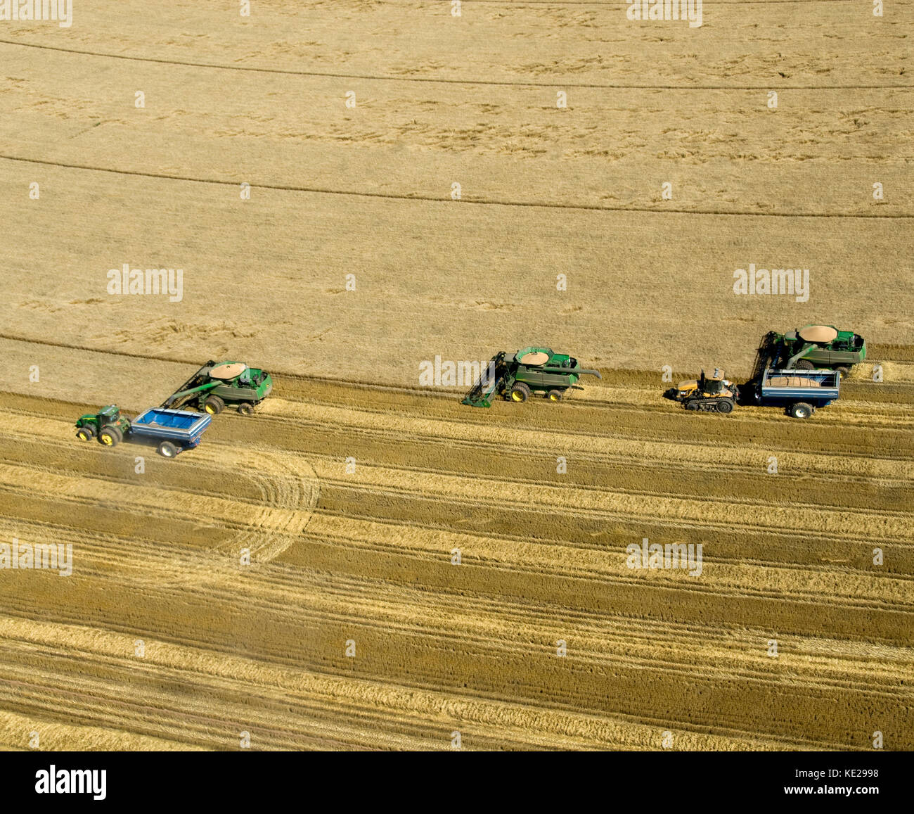 Vista aerea di tre john deere combina la raccolta di 95 - 100 BU. grano in Texas Panhandle Foto Stock