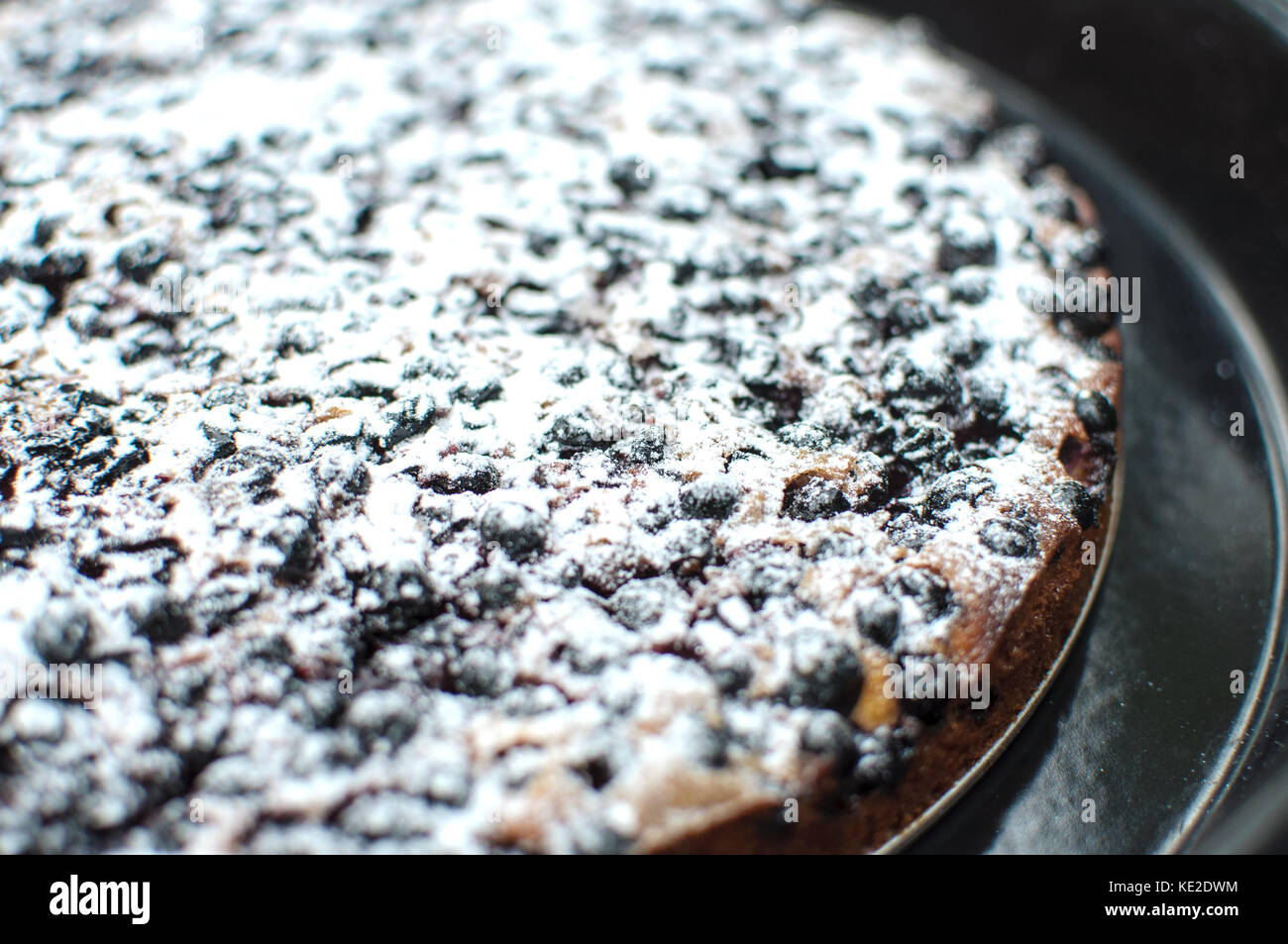 Gustosa crostata di ribes nero con lo zucchero in polvere in un round vassoio da forno. close up, il fuoco selettivo bokeh di fondo Foto Stock