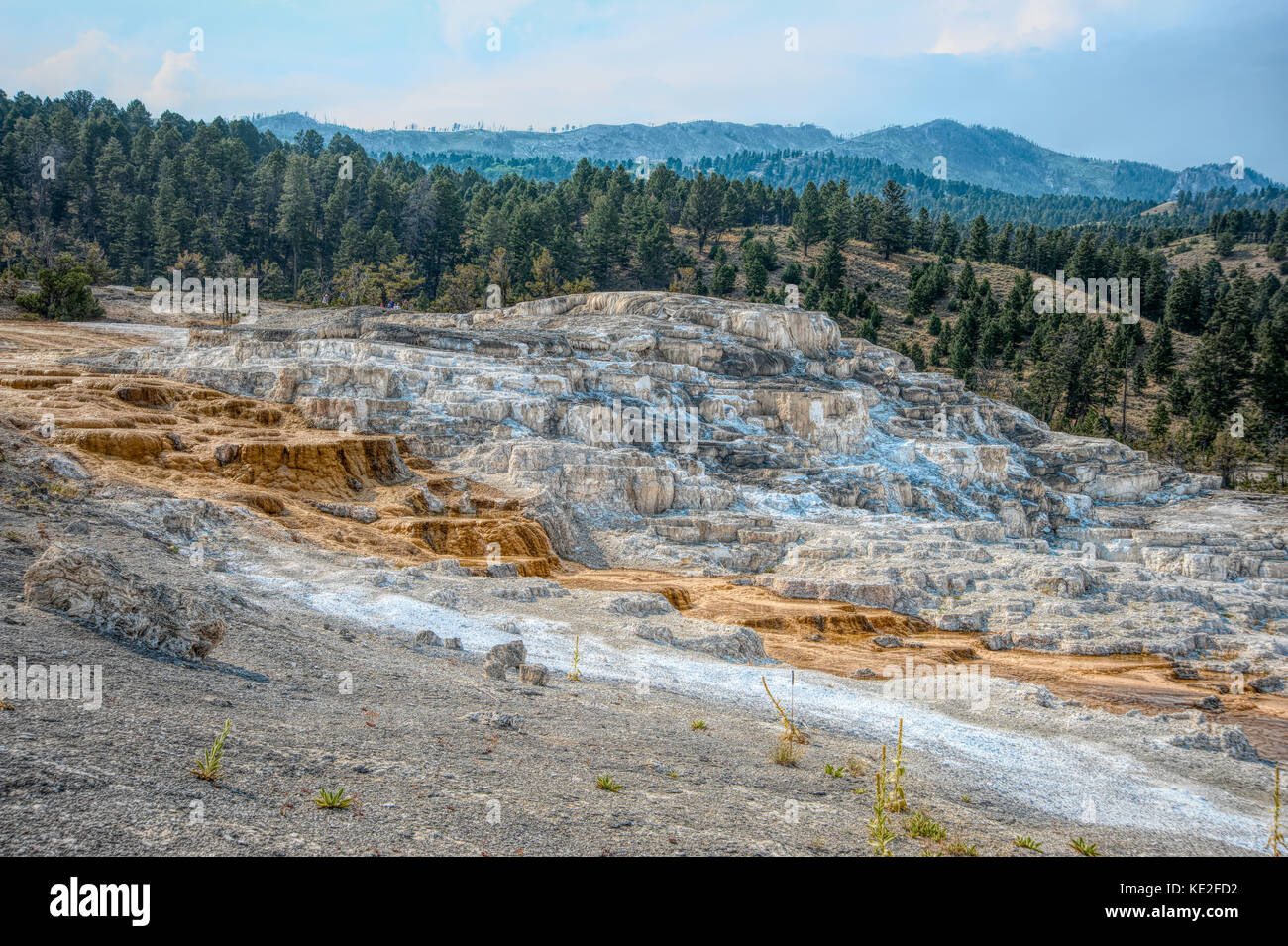 Agosto 22, 2017 - mamoth primavera calda individuare vicino all' entrata nord del parco nazionale di Yellowstone Foto Stock