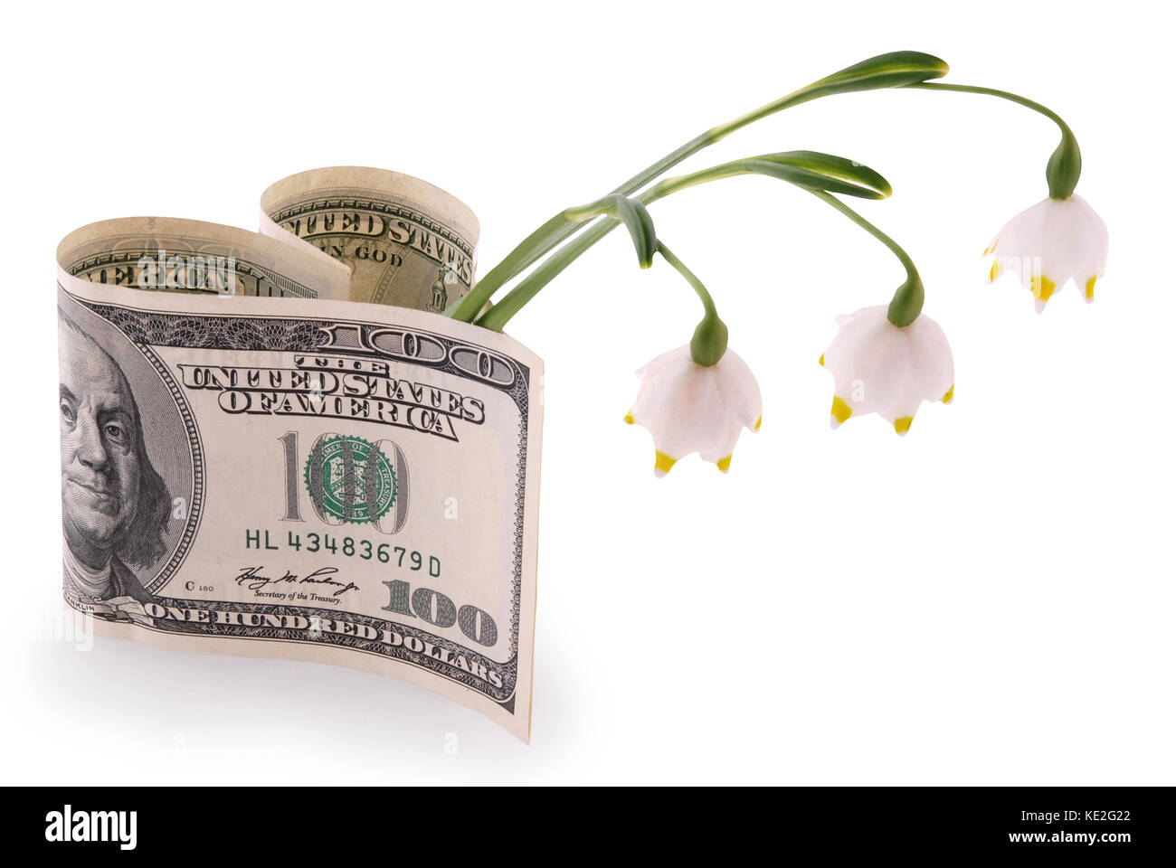 Snowdrops isolato e cuore su blu - percorso di clipping incluso Foto Stock