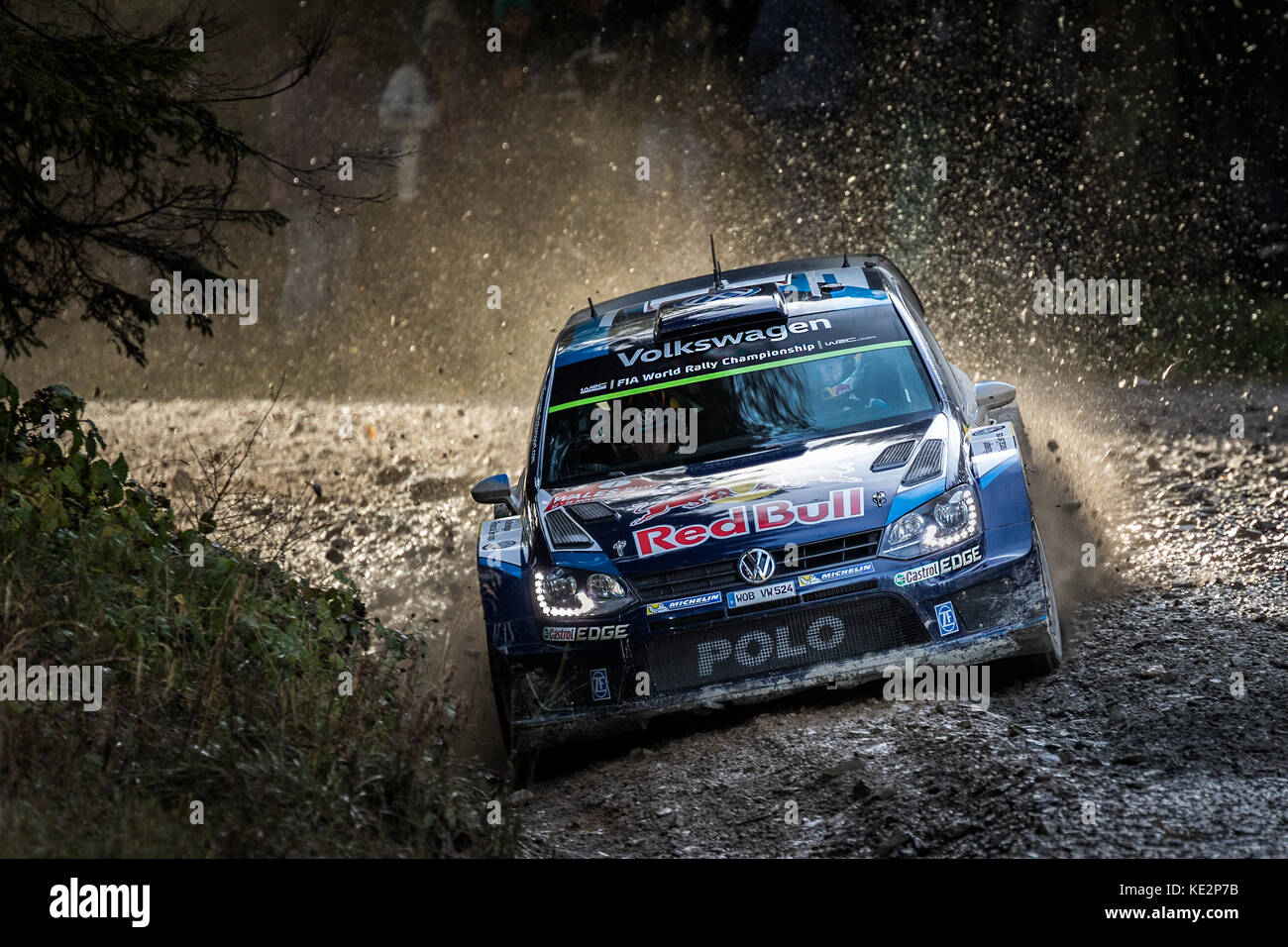 Sebastien Ogier al WRC World Rally Championship, Rally Galles GB, Wales, Regno Unito Foto Stock
