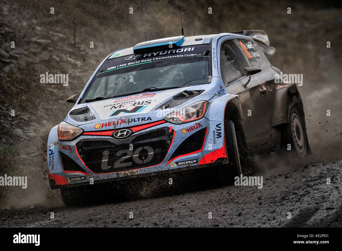 Kevin Abbring al WRC World Rally Championship, Rally Galles GB, Wales, Regno Unito Foto Stock