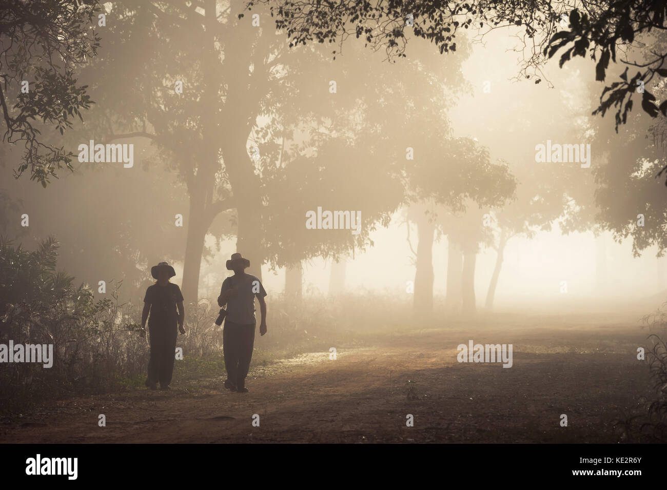Due turisti di esplorare una nebbiosa mattina nel pantanal del Nord, Brasile Foto Stock